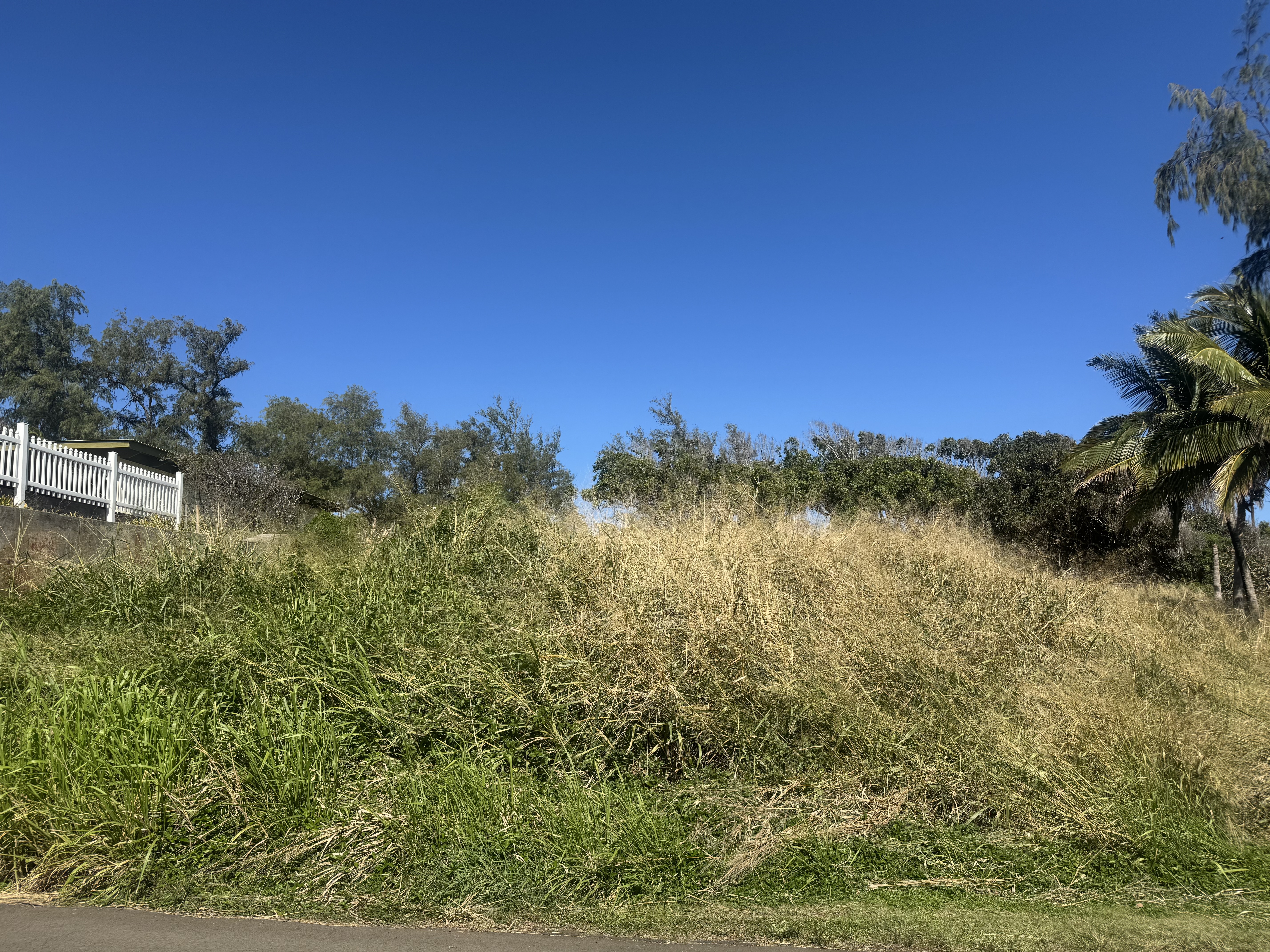 52-236 Keokea Park Rd, Kapaau, HI 96755