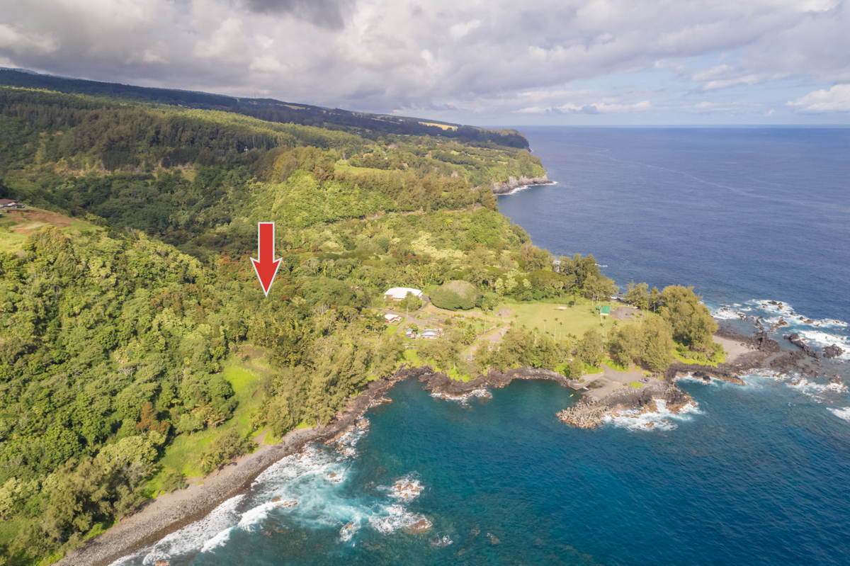 36-1070 Laupahoehoe Point Rd, Laupahoehoe, HI 96764