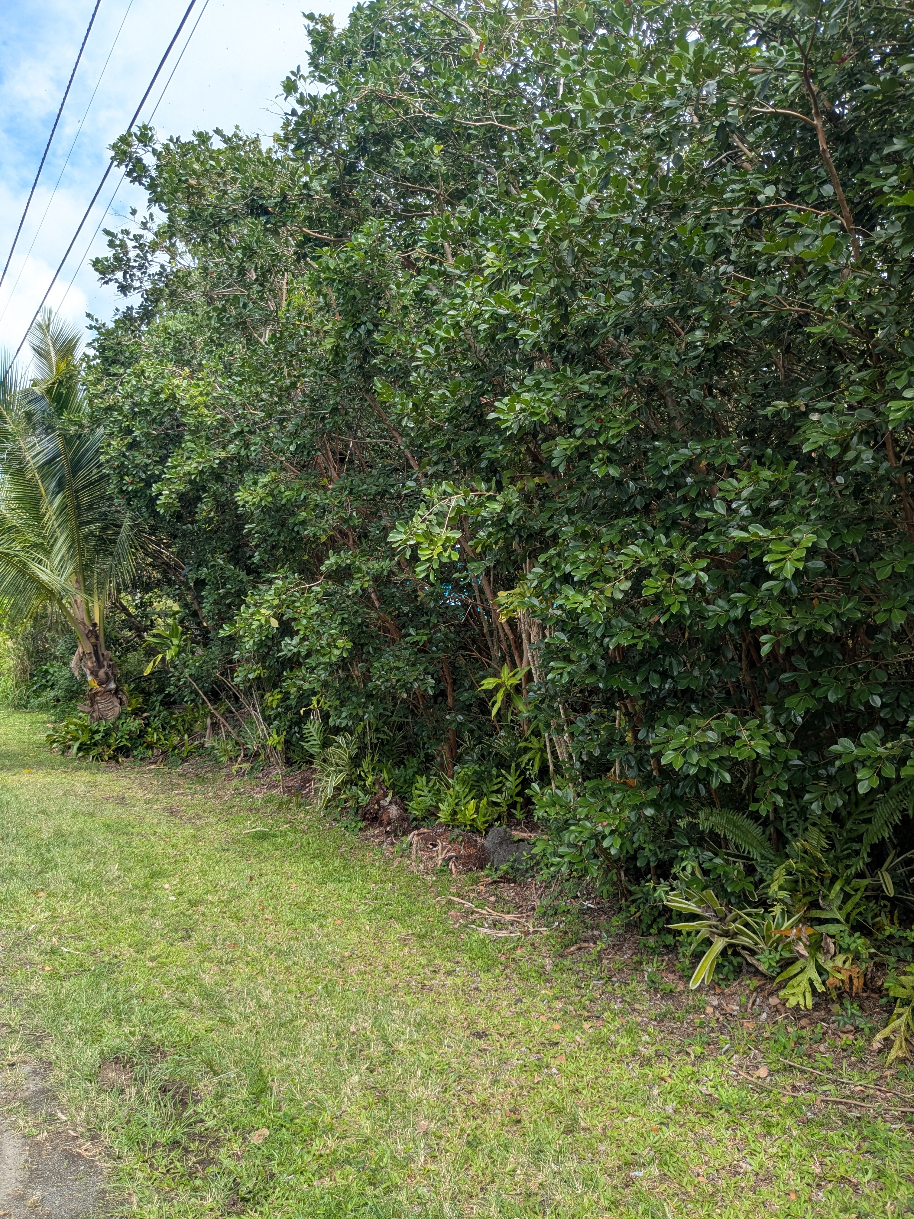 12-262 Pohakupele Loop, Pahoa, HI 96778