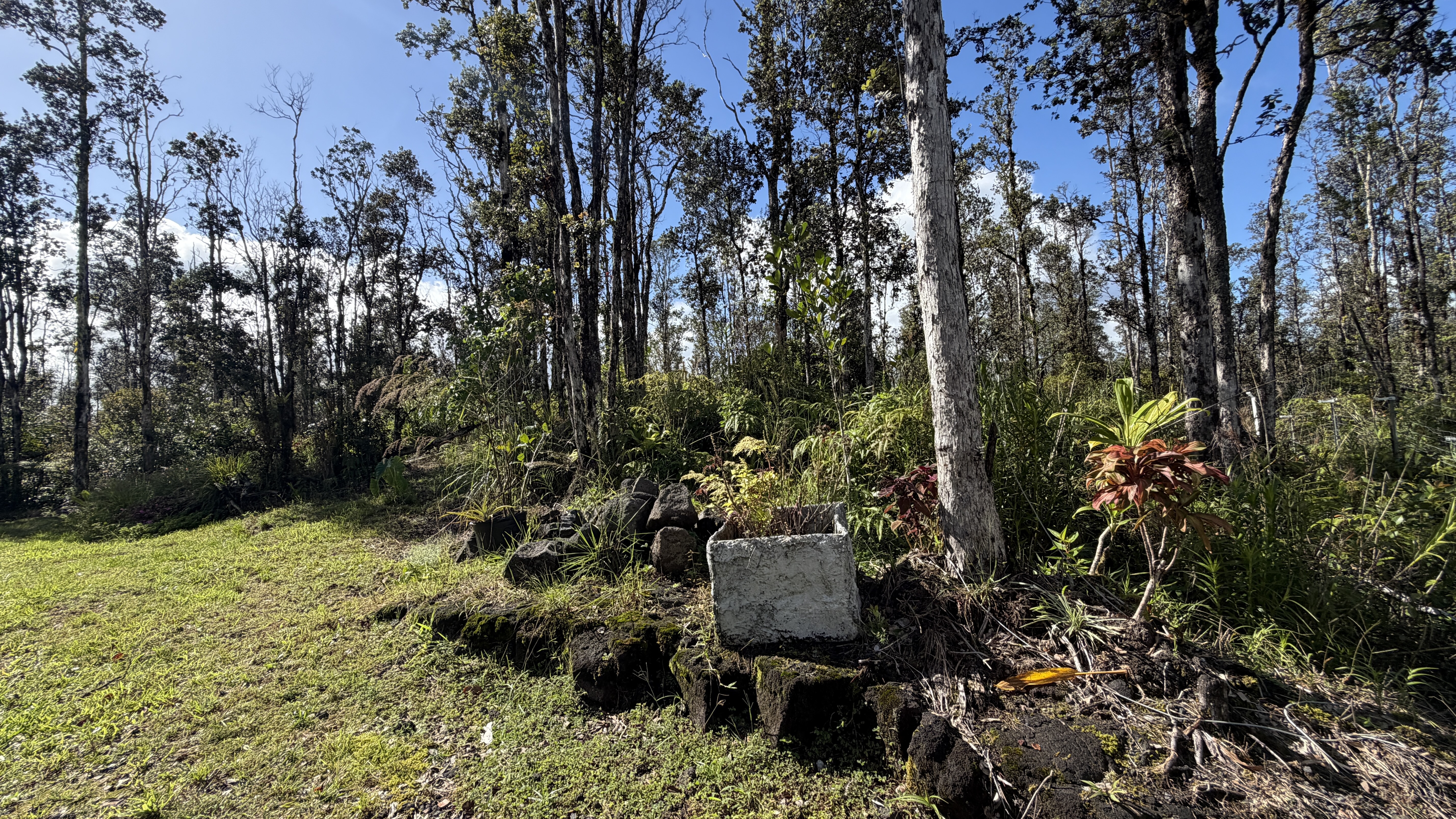 16-1962 Hopue Rd, Mountain View, HI 96760