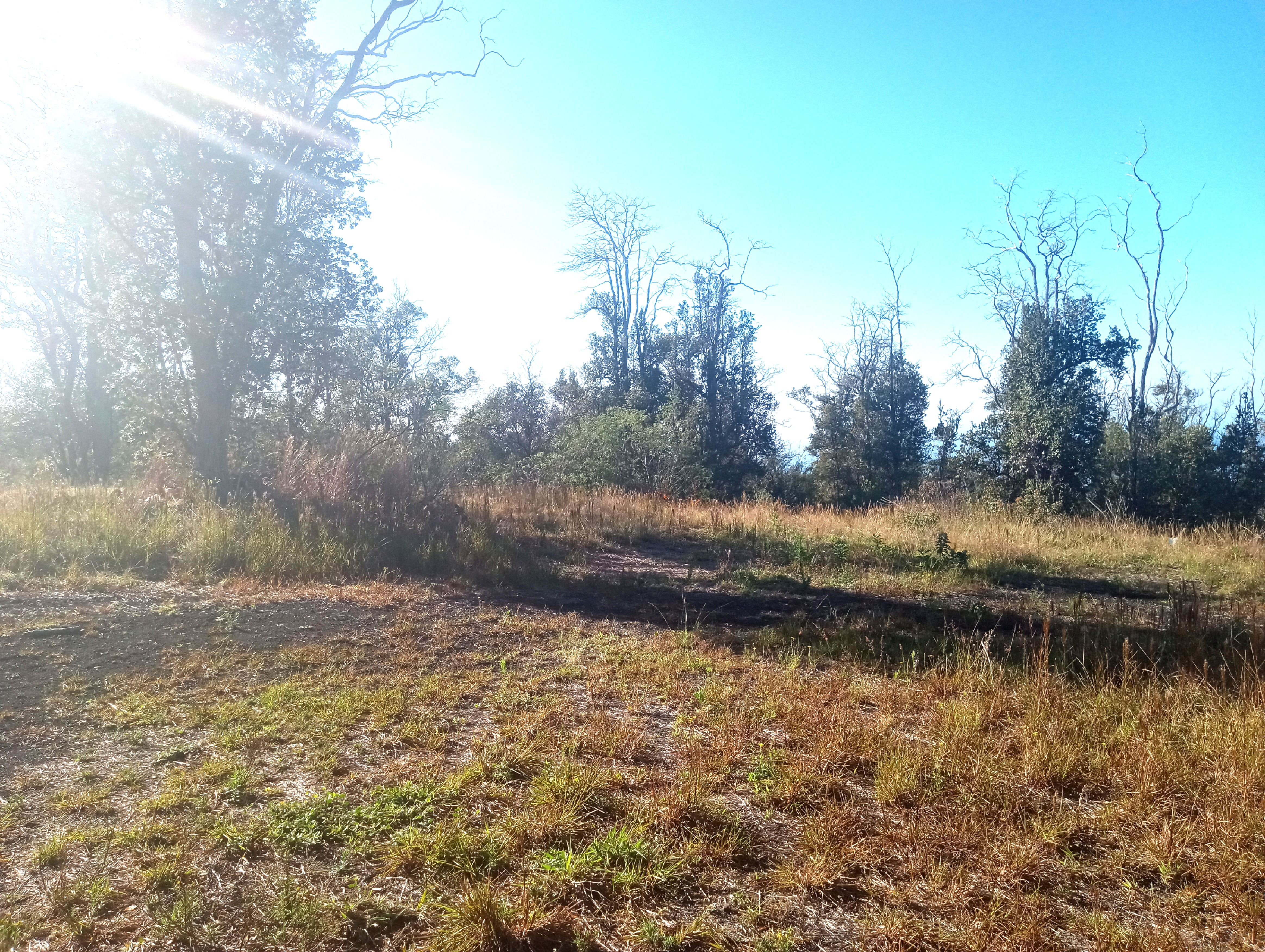 92-2070 Aloha Blvd, Ocean View, HI 96737