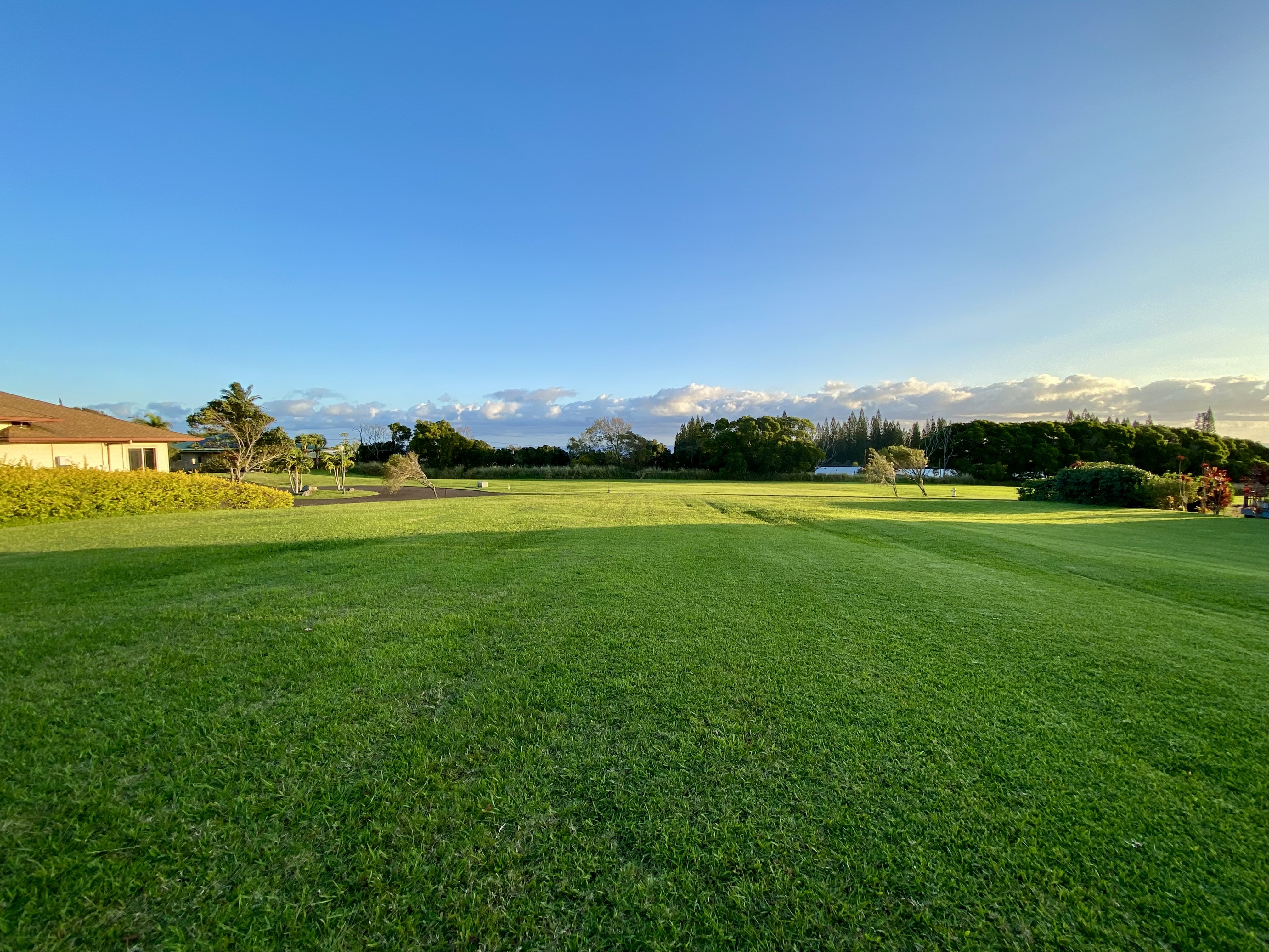 54-3706 Lehuula Circle, Kapaau, HI 96755