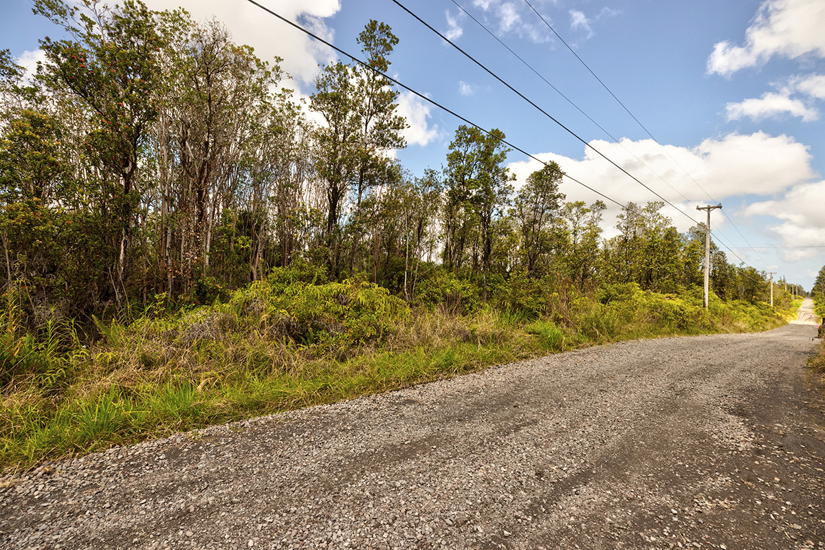 11-2080 Omeka Rd, Volcano, HI 96785