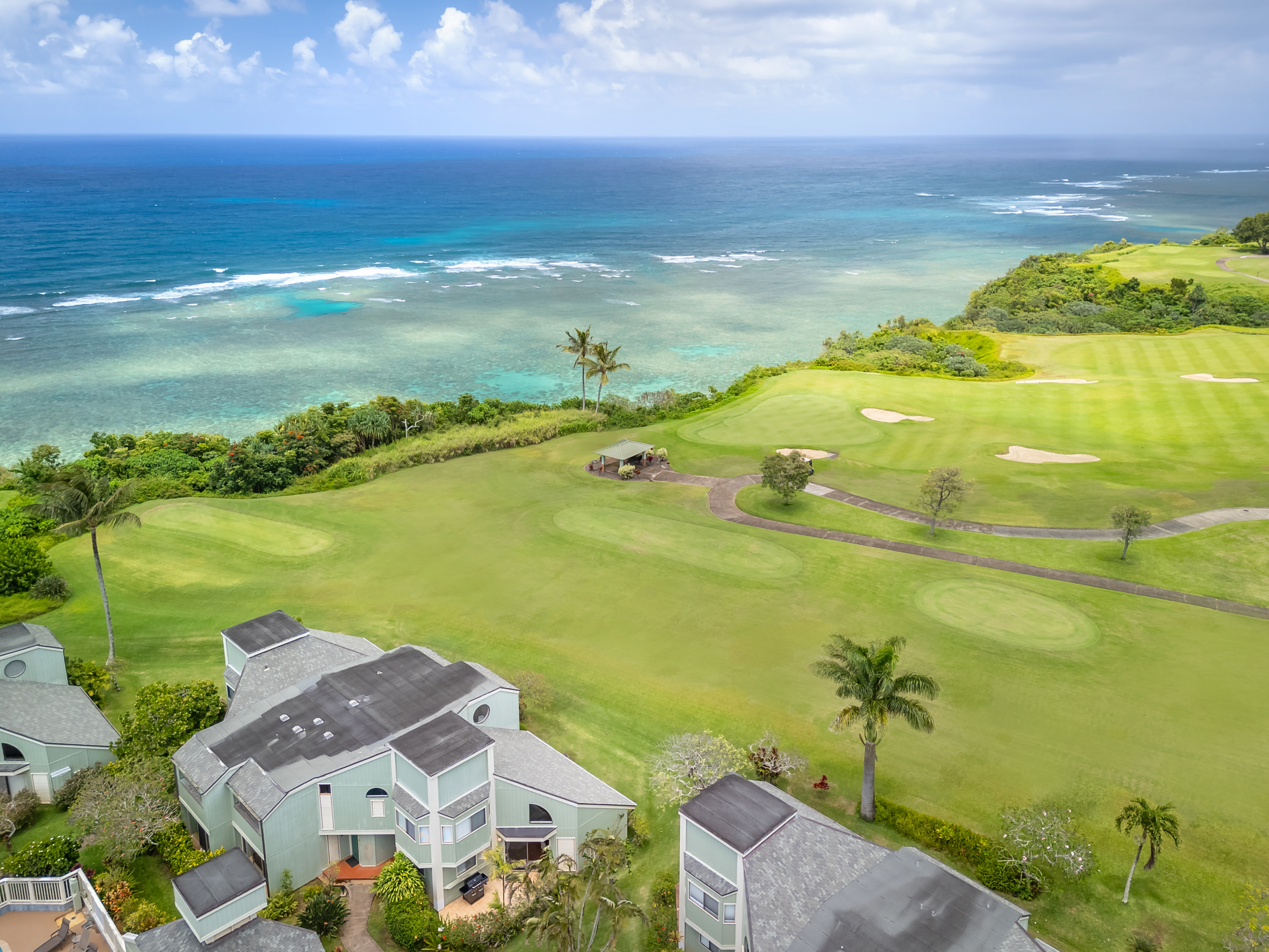3800 Kamehameha Rd, #17, Princeville, HI 96722