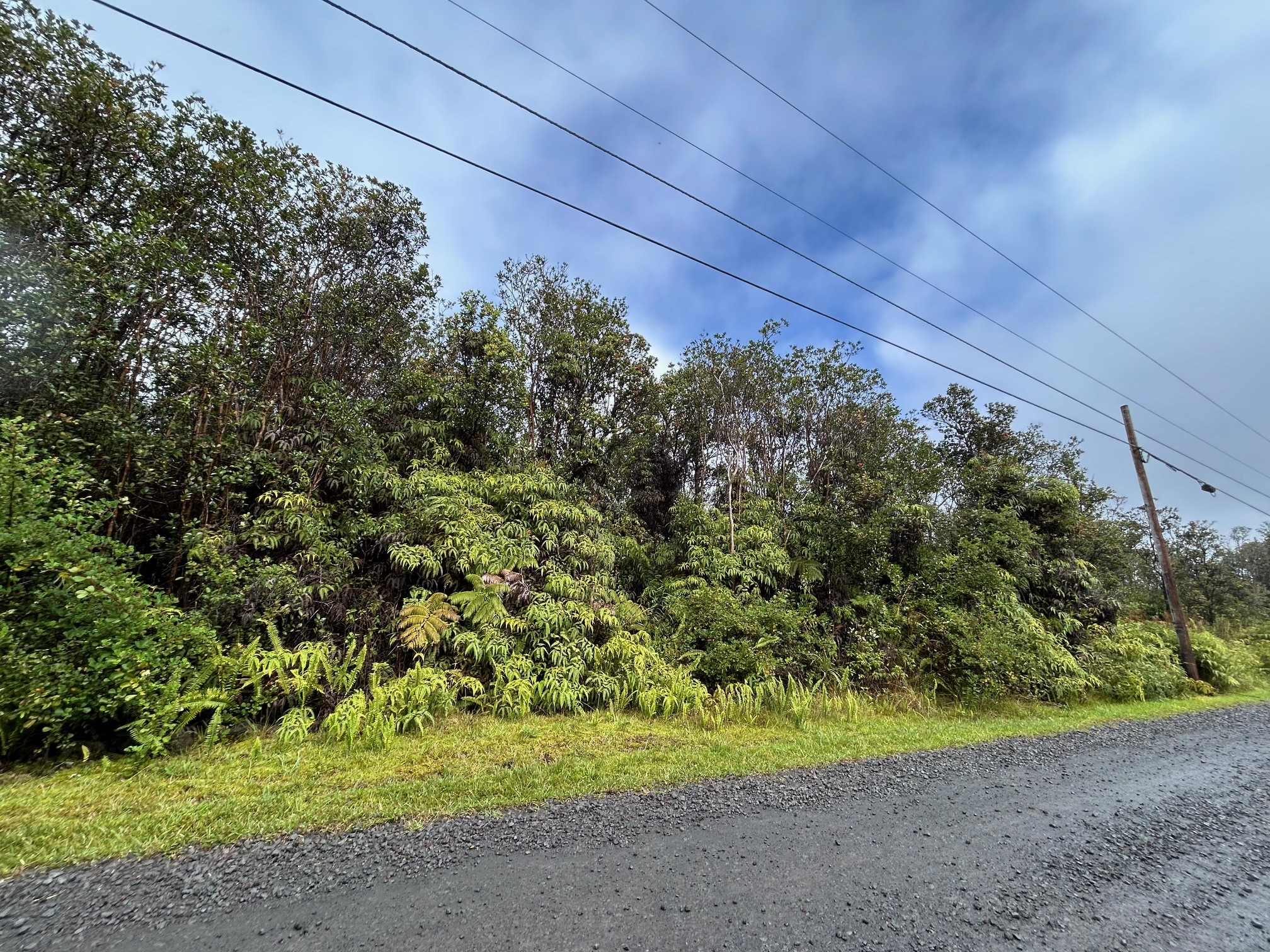 11-2496 Makoa Rd, Volcano, HI 96785