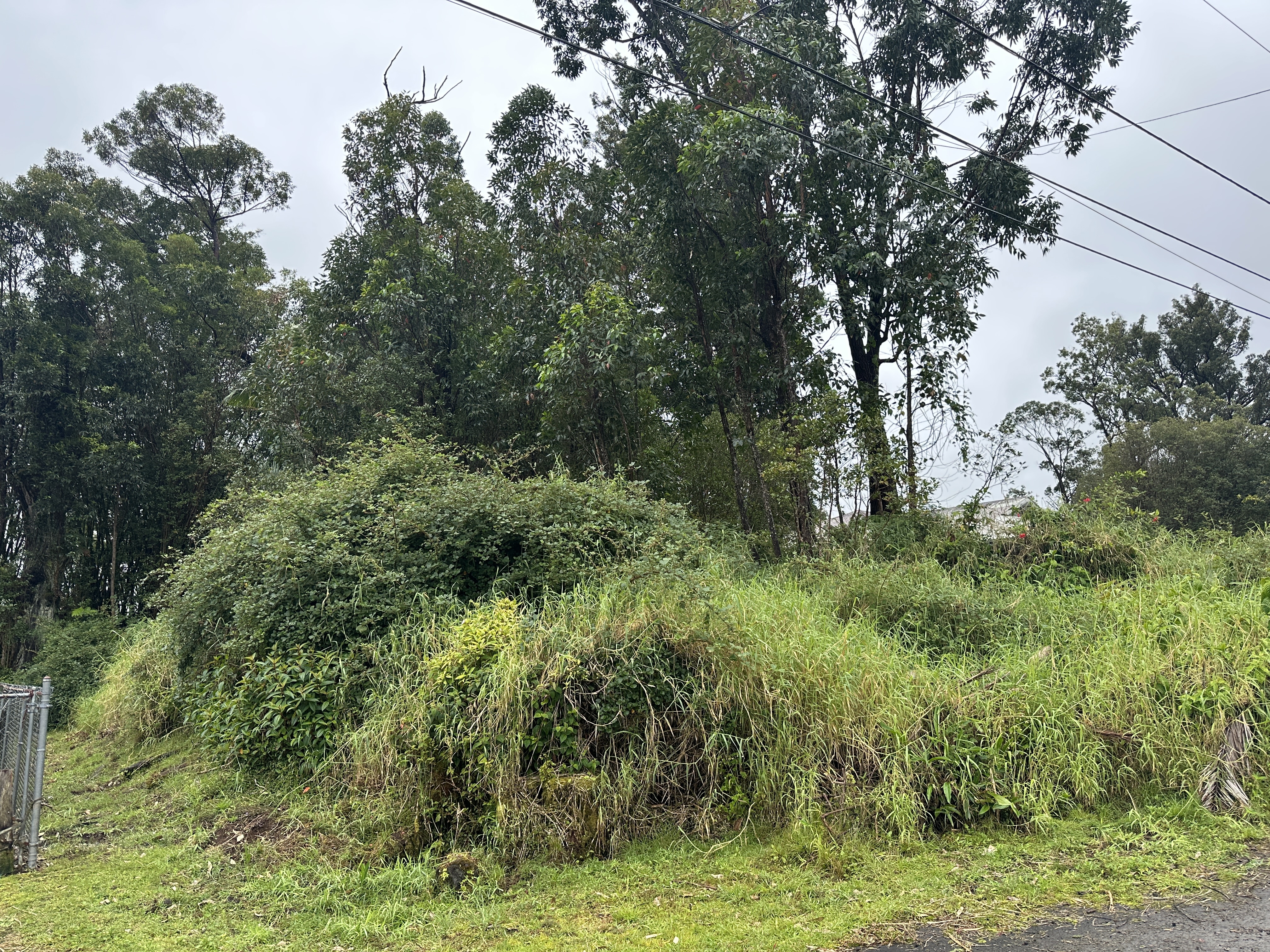 18-4104 Hohiu St, Mountain View, HI 96771