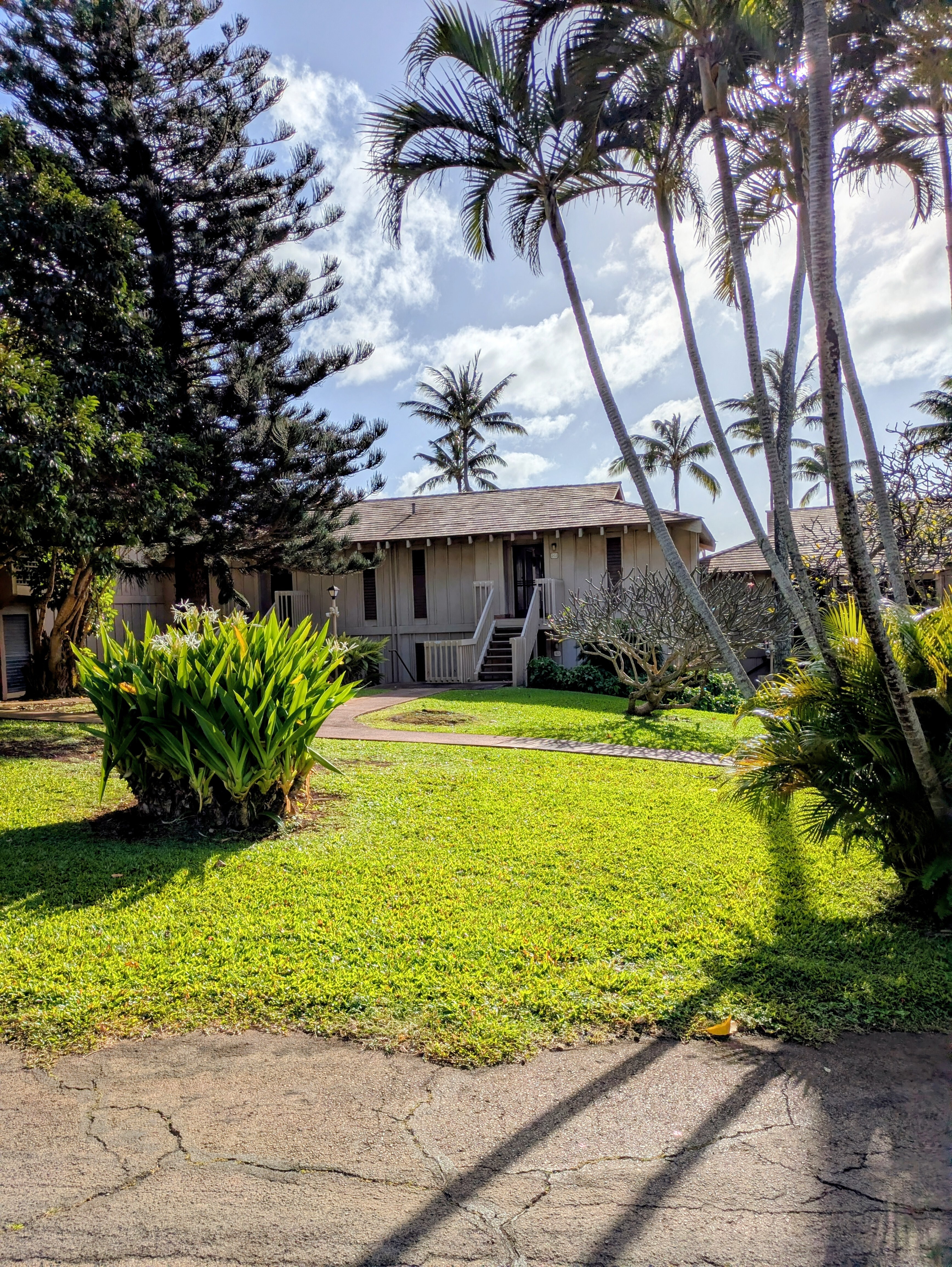 50 Kepuhi Pl, 103, Maunaloa, HI 96770