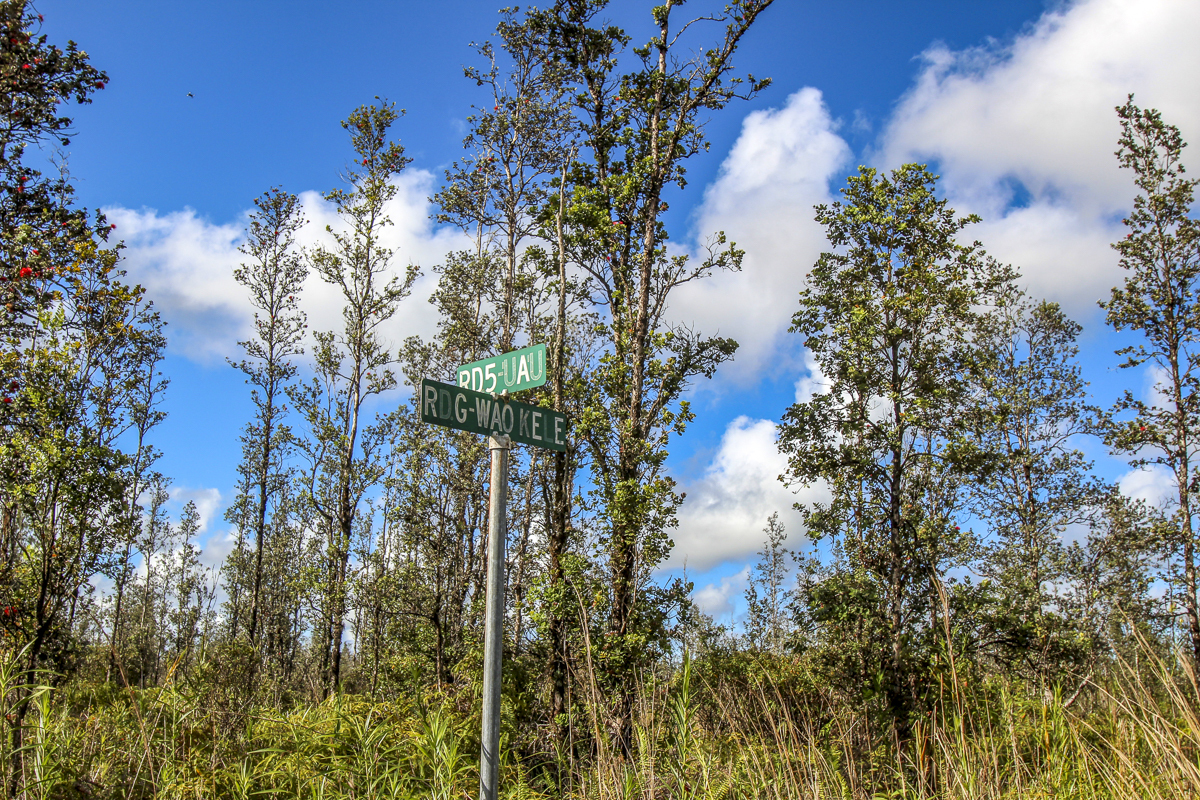 16-2192 Road 5 (Uau), Mountain View, HI 96771