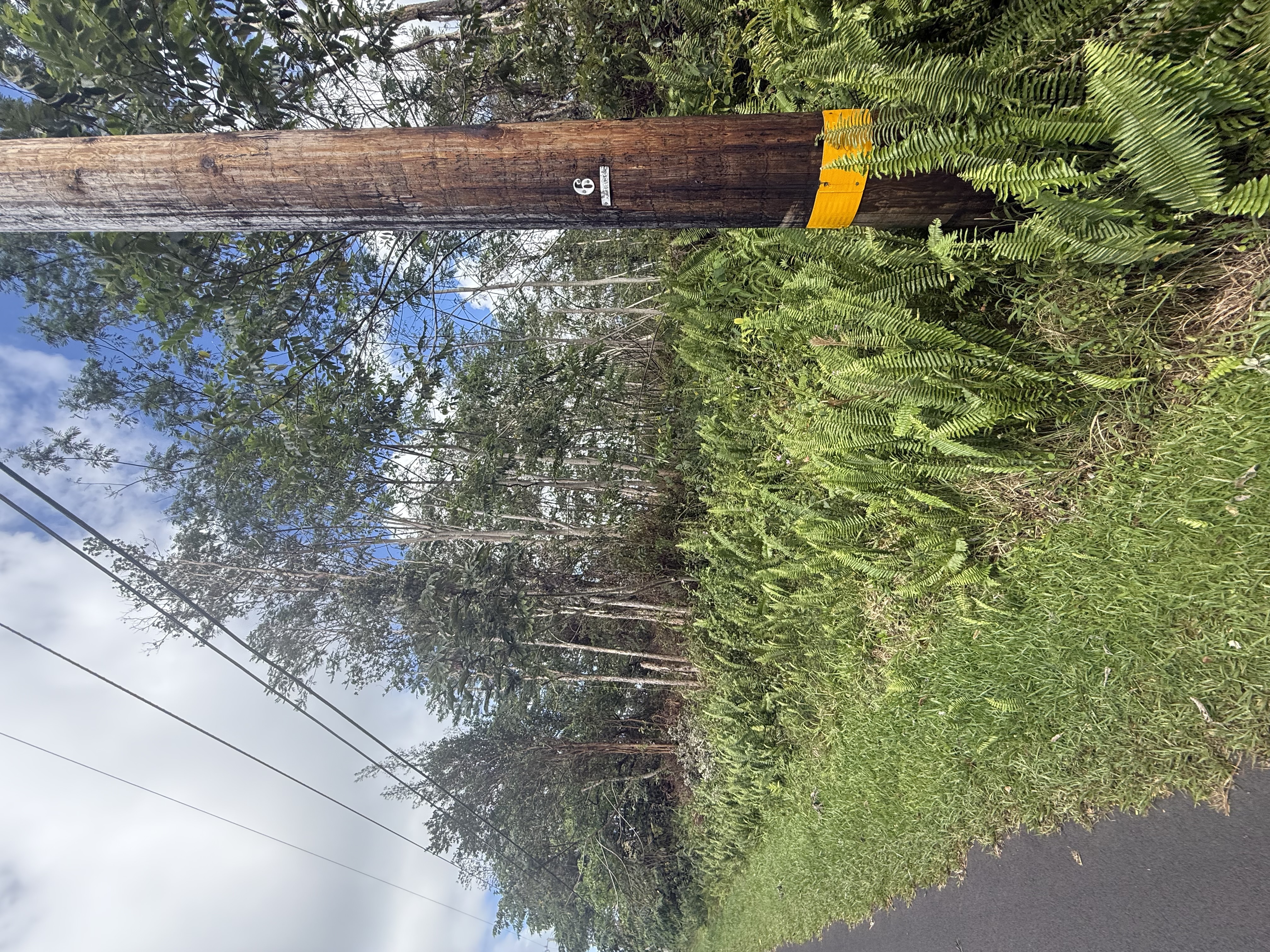 13-3557 Moku St, Pahoa, HI 96778