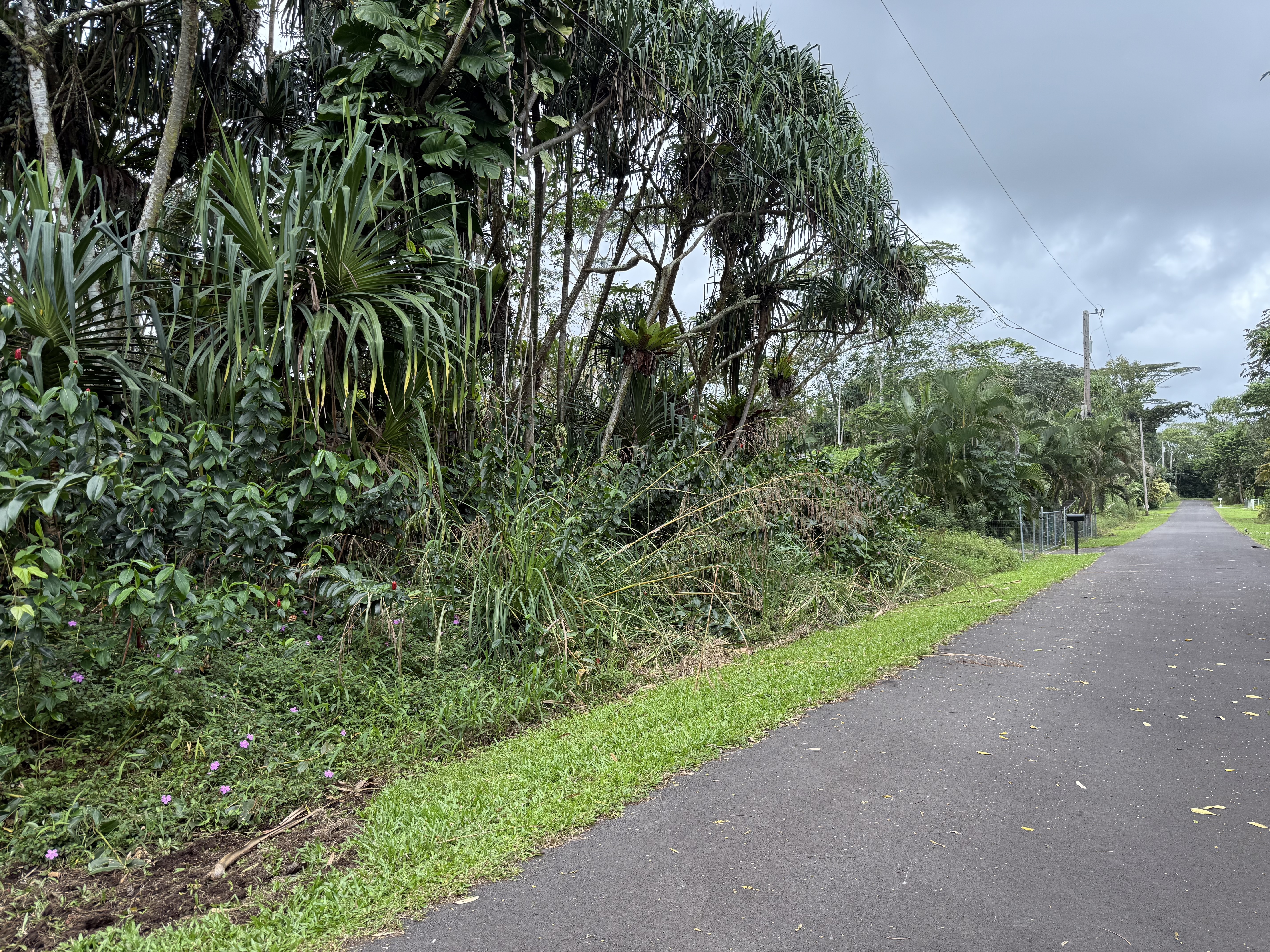 15-2794 Oio St, Pahoa, HI 96778