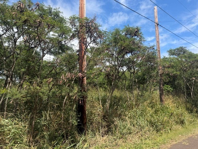 94-6287 Mark Twain St, Naalehu, HI 96772