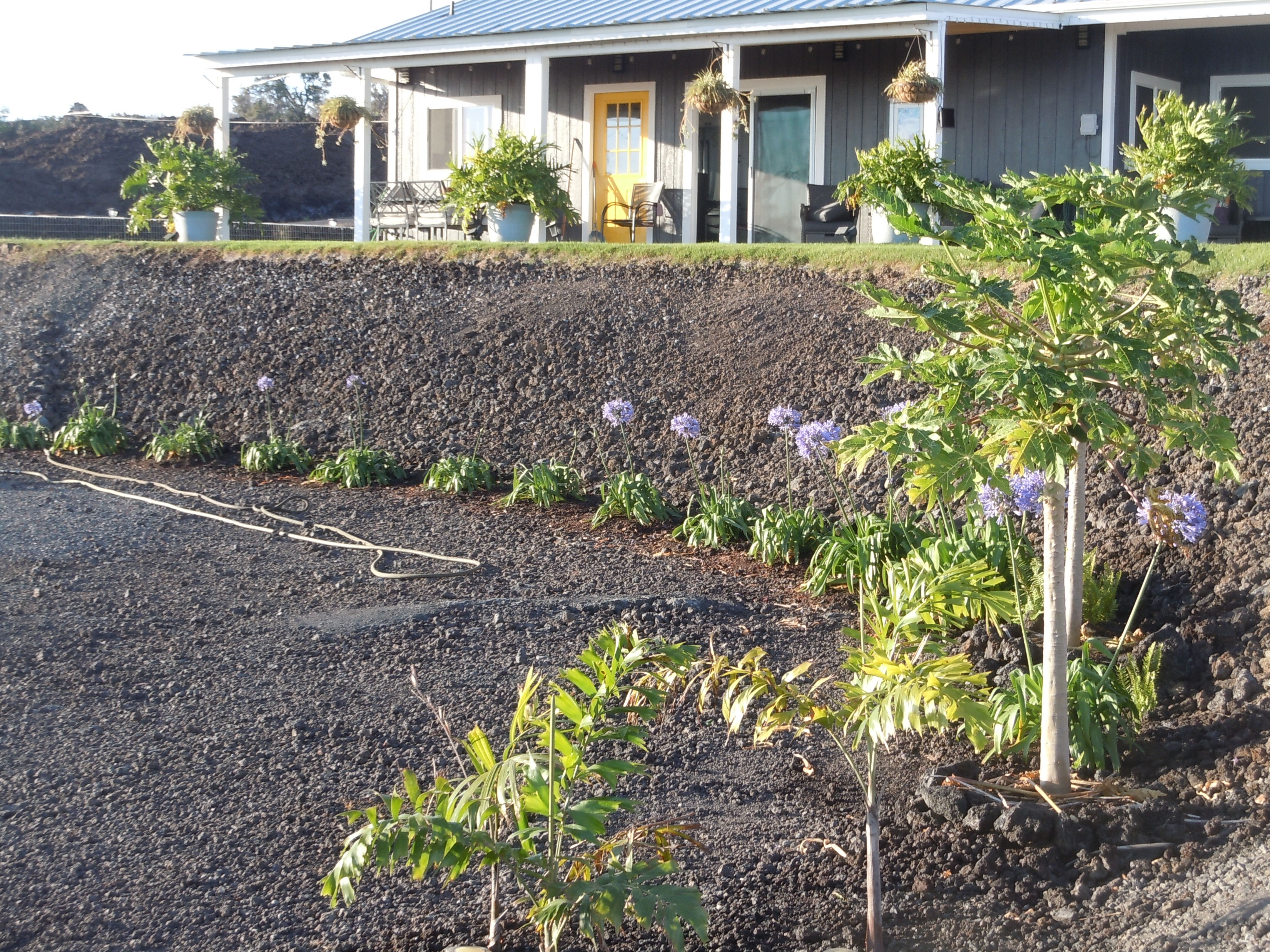 92-8344 Hibiscus Dr, Ocean View, HI 96737