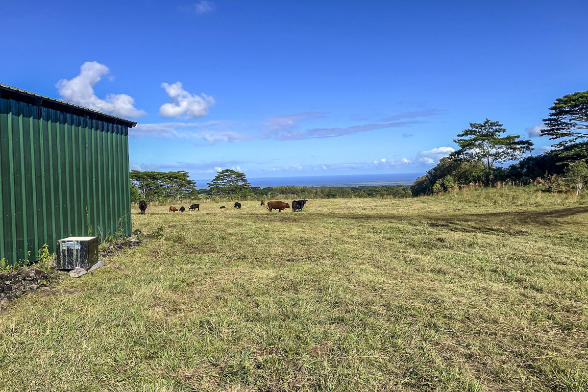 17-4870 South Rd, Kurtistown, HI 96760