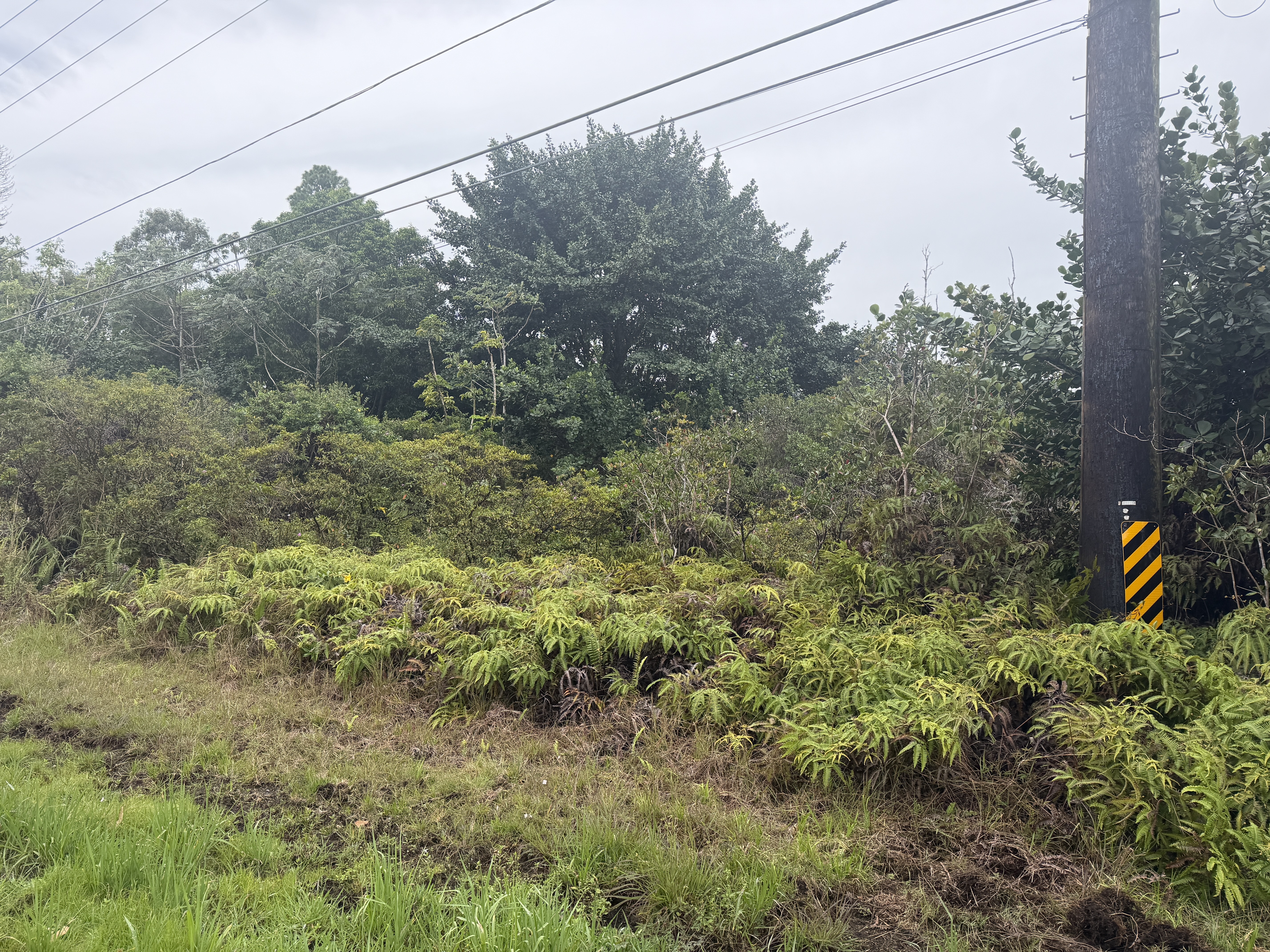 16-2078 Keaau Pahoa Rd, Pahoa, HI 96778