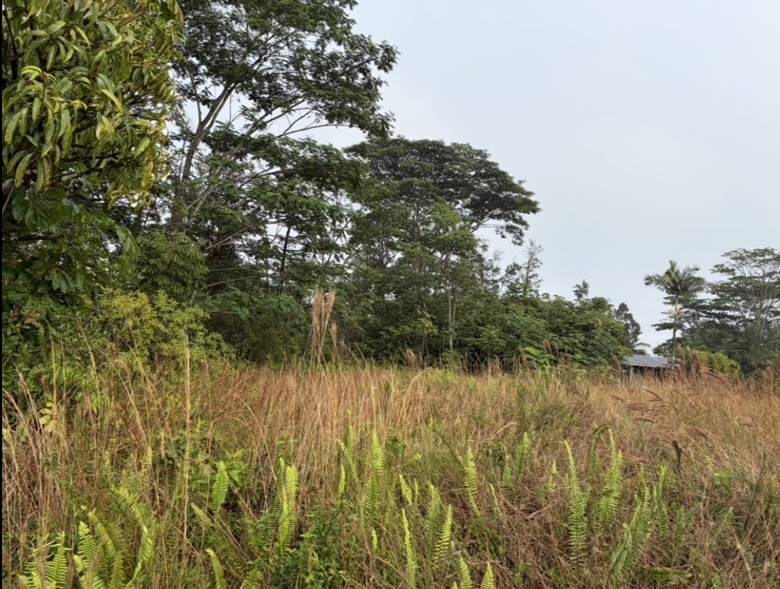 16-2069 Pearl Dr, Pahoa, HI 96778