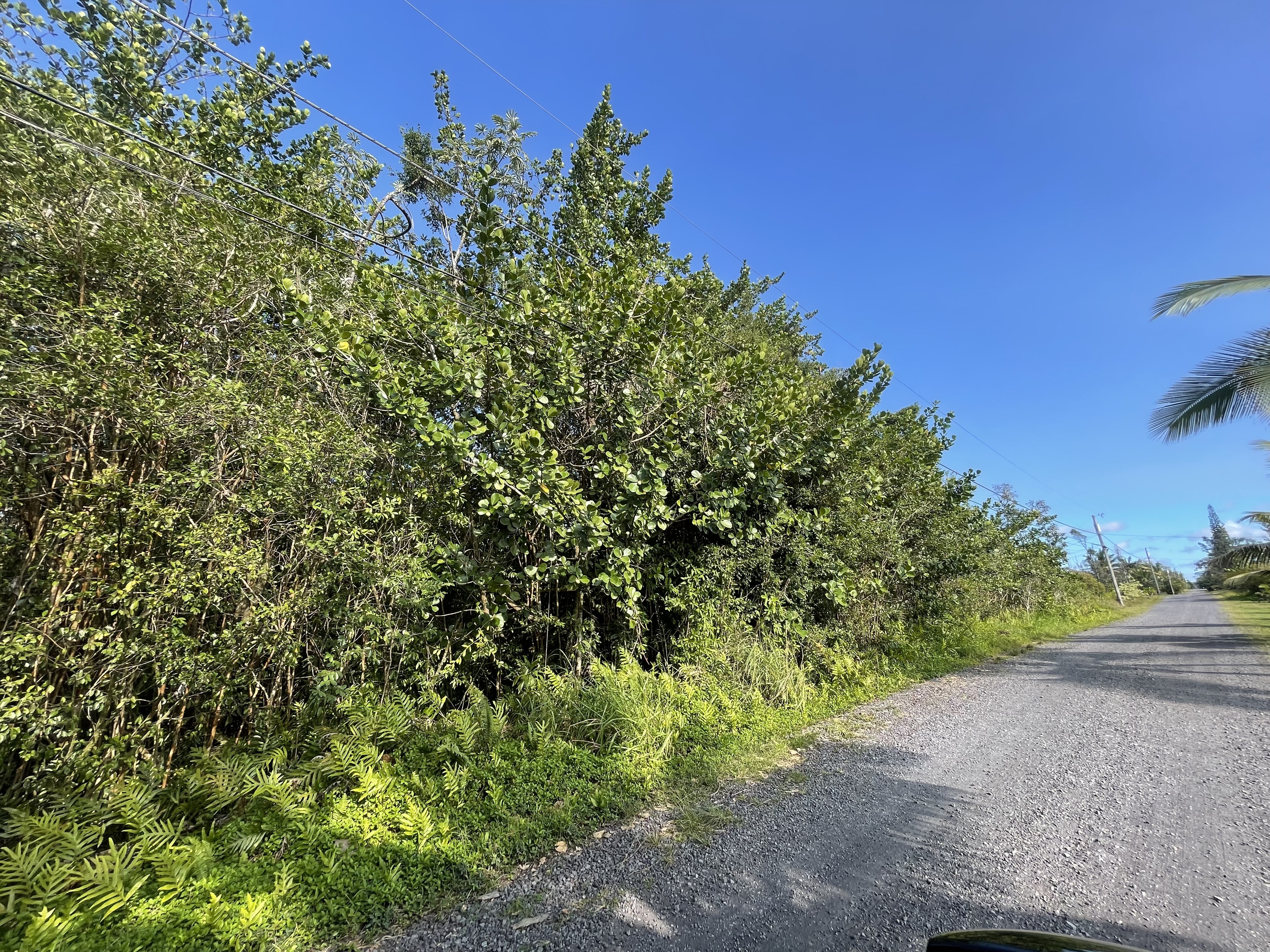 15-1423 12Th Ave, Keaau, HI 96749