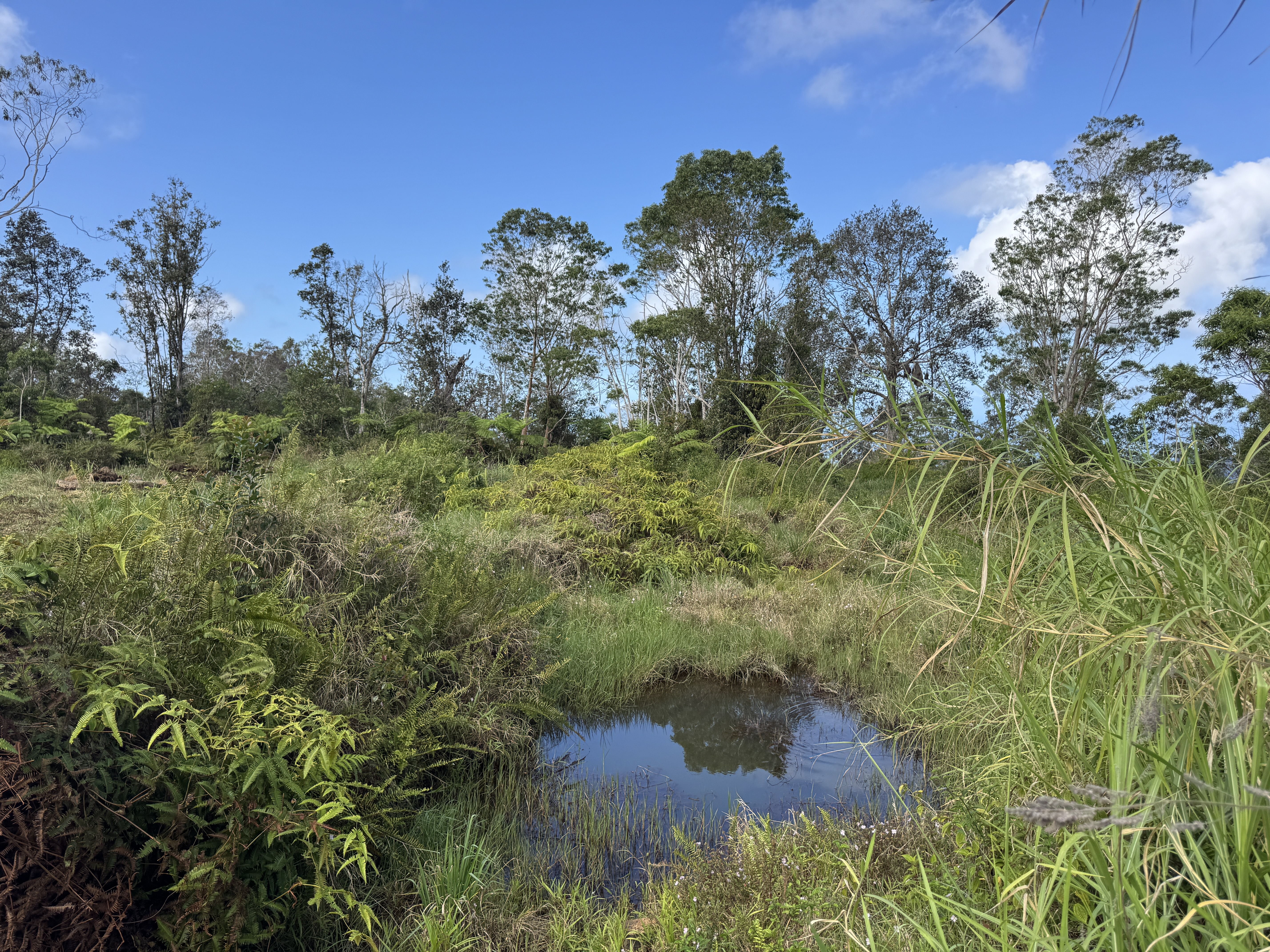 75-1306 Keopu Mauka Dr, Holualoa, HI 96725