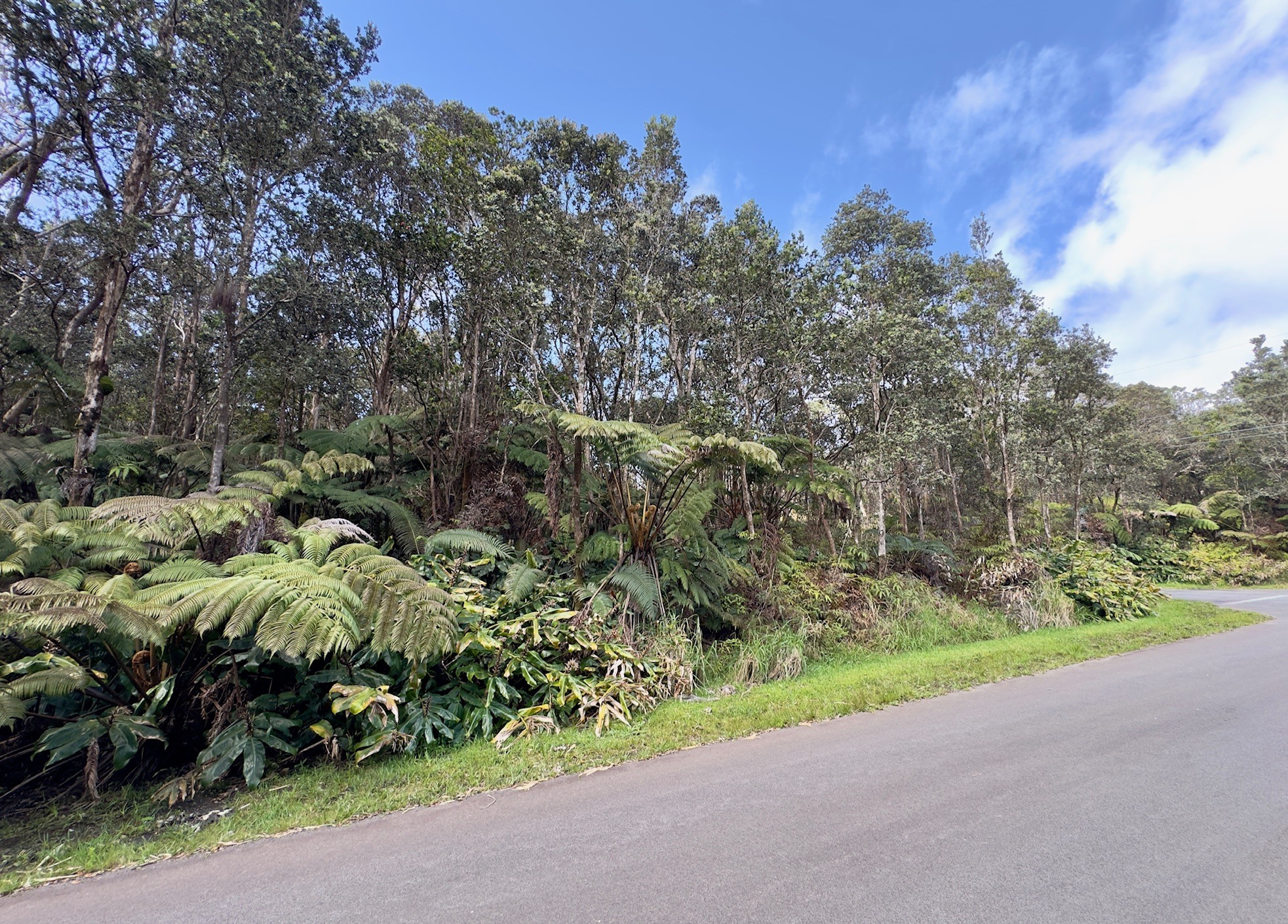 11-3839 4Th St, Volcano, HI 96785