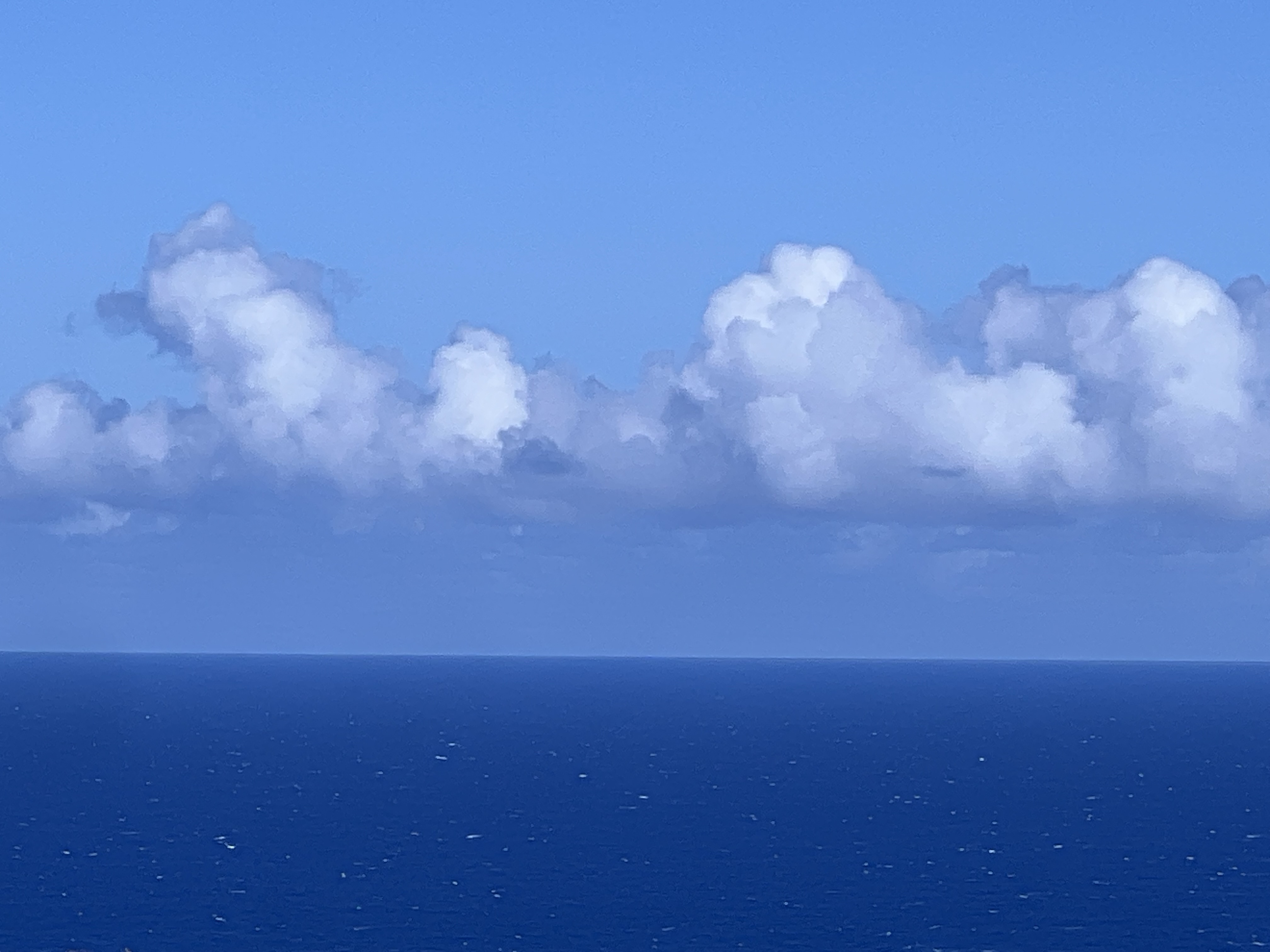 39-3296 Old Mamalahoa Hwy, Ookala, HI 96774