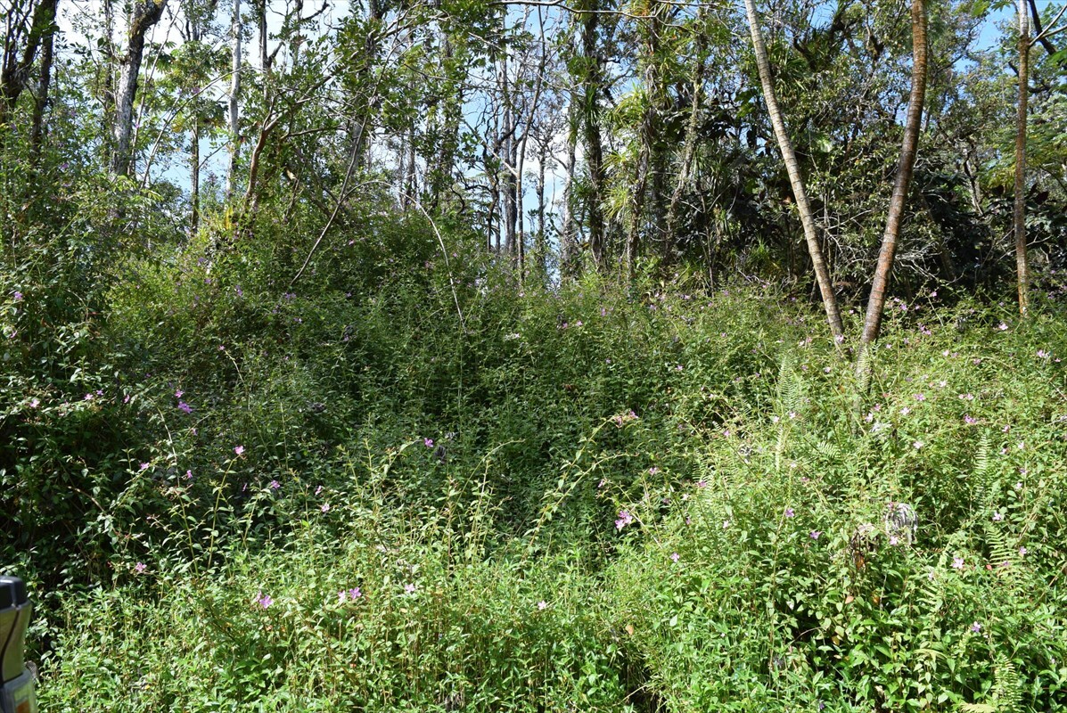 14-3539 Kauai Rd, Pahoa, HI 96778