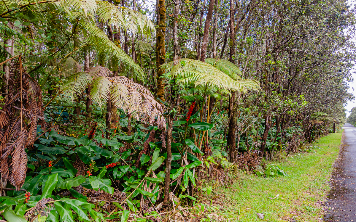 11-3849 9Th St, Volcano, HI 96785