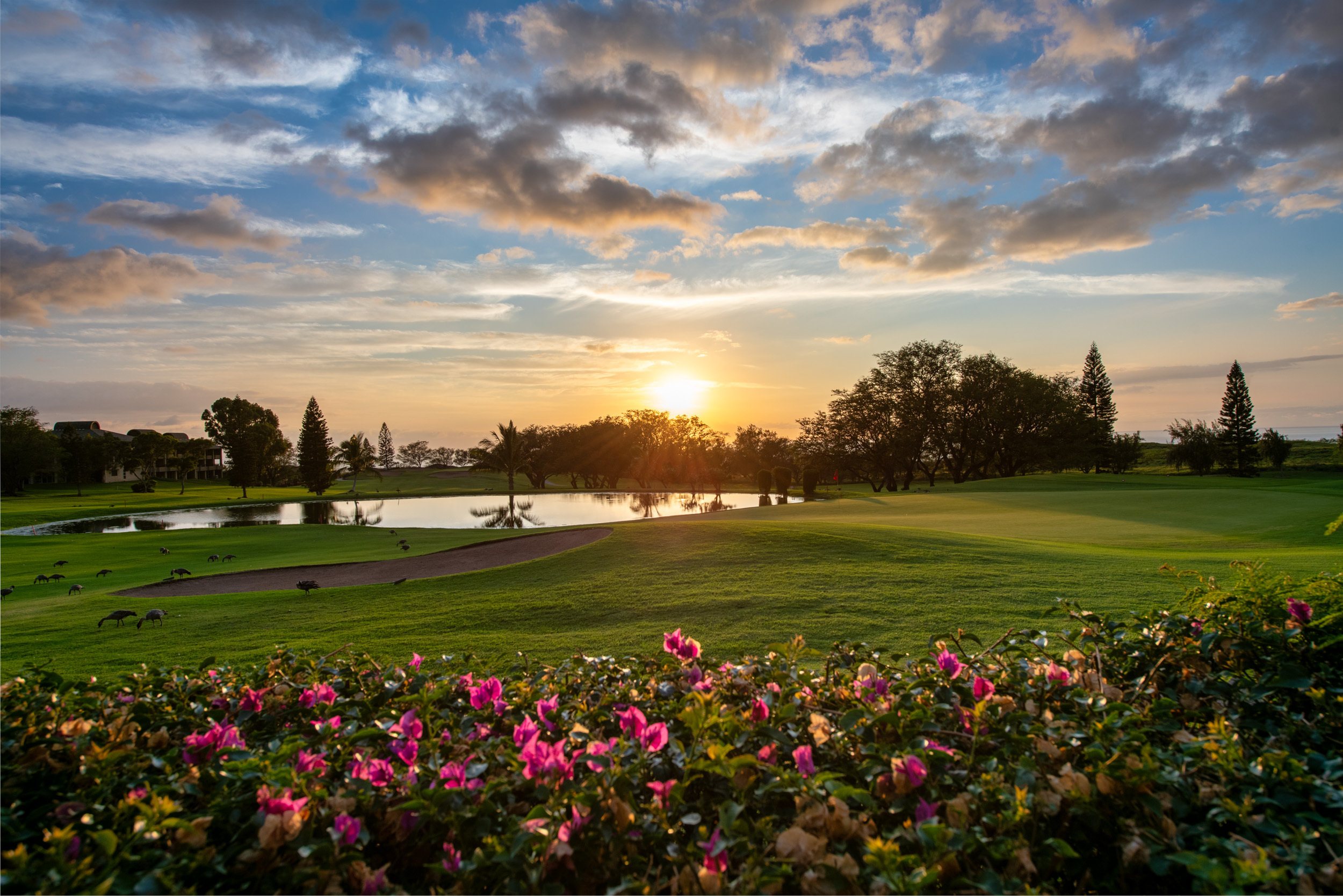 68-1754 Melia St, A103, Waikoloa, HI 96738