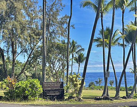 15-235 Puni Makai Lp, Pahoa, HI 96778
