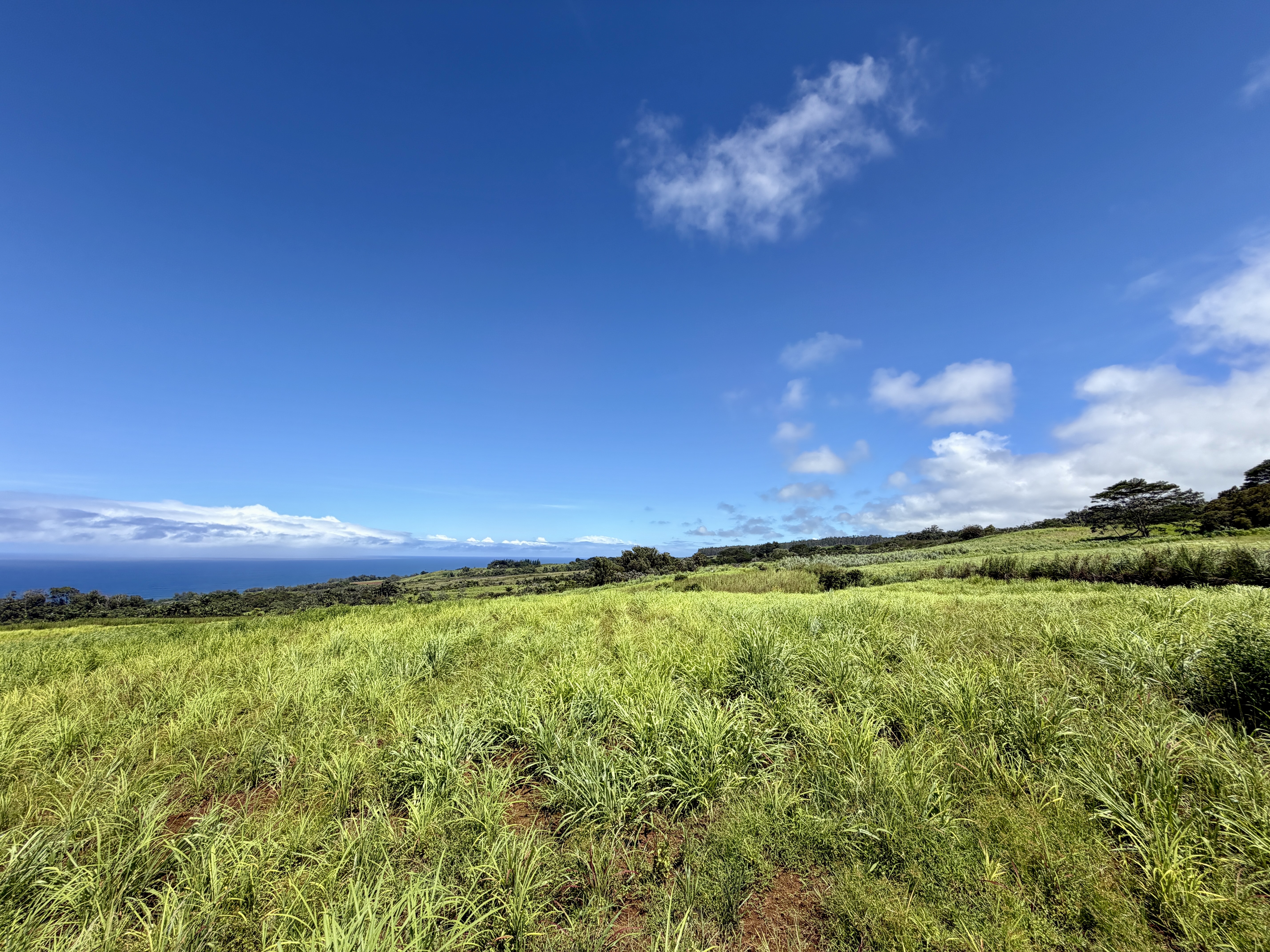 32-195 Piha Kahuku Rd, Papaaloa, HI 96780