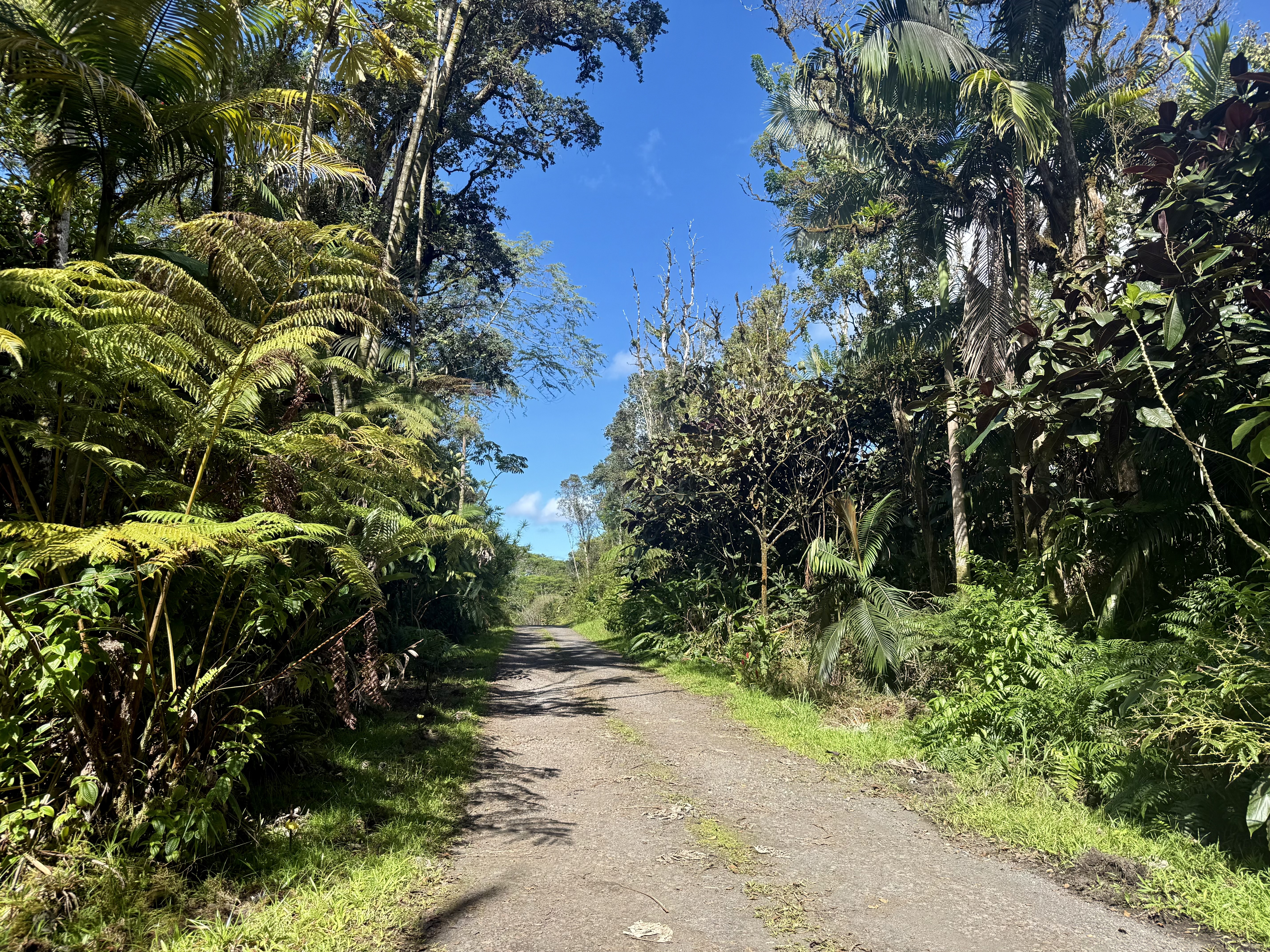 17-1070 Nailima Road, Mountain View, HI 96771