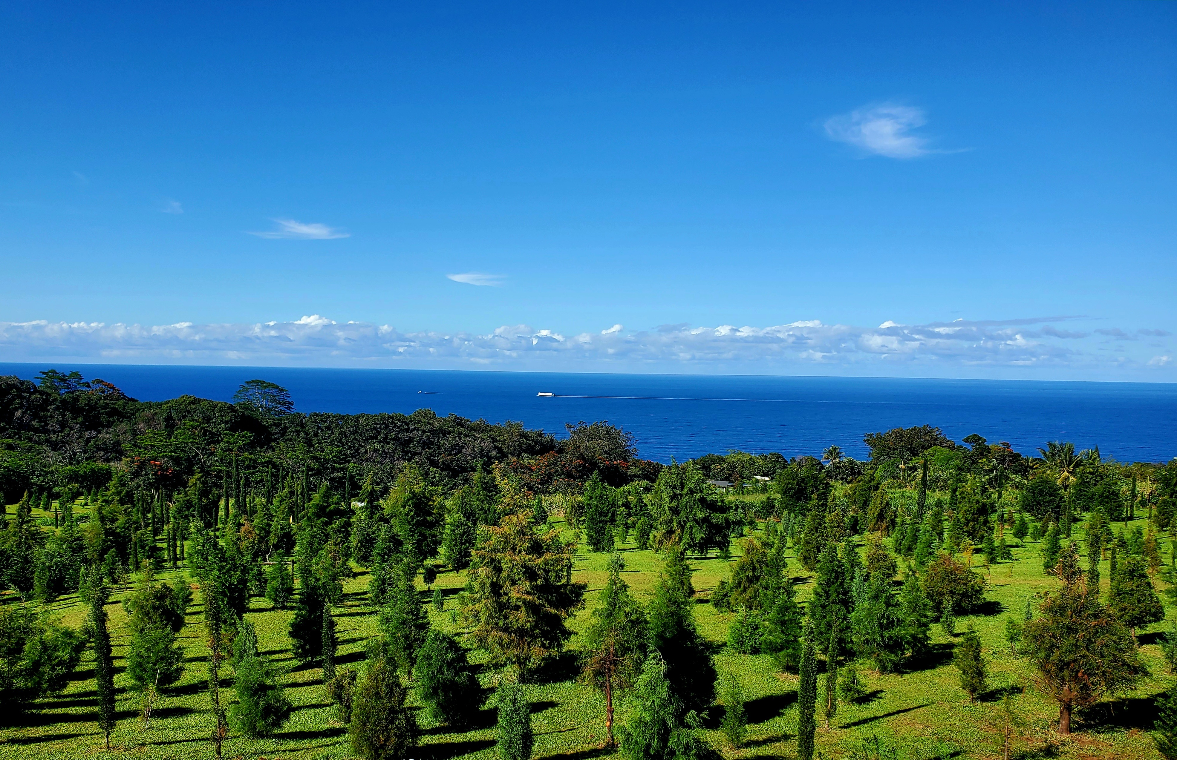 32-122 Piha Kahuku Rd, 4, Ninole, HI 96780