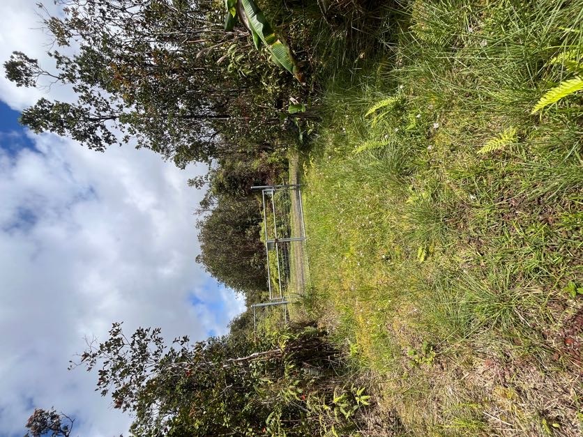 11-1843 Akala St, Mountain View, HI 96771