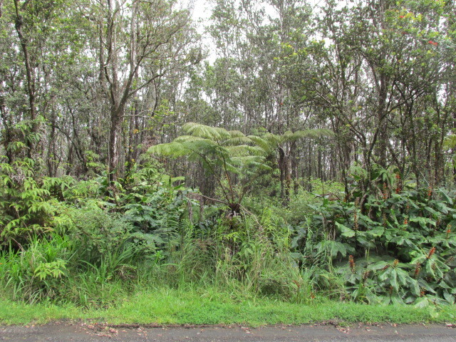 11-3088 Puolani St, Volcano, HI 96785