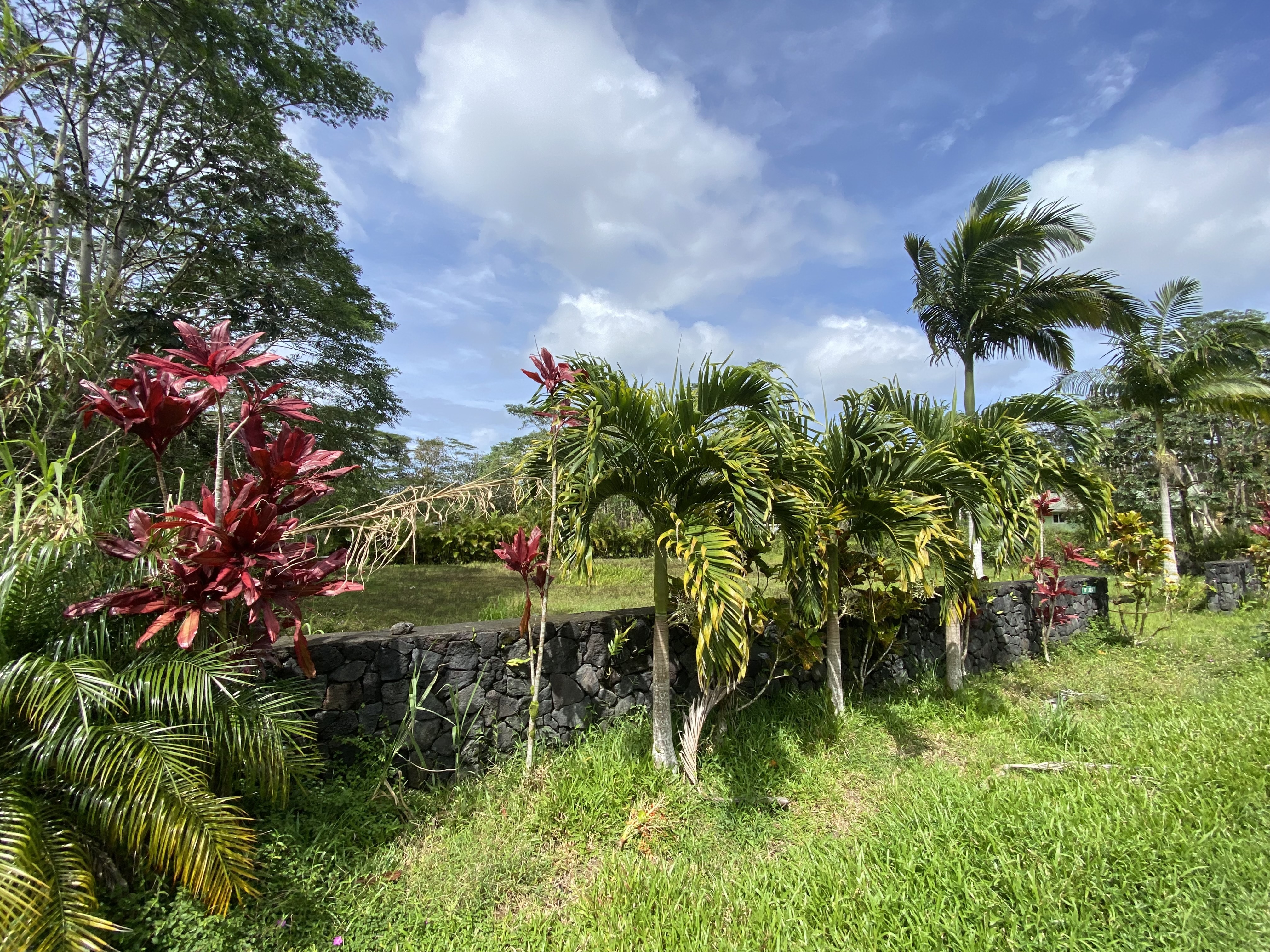 14-3379 Paradise Rd, Pahoa, HI 96778
