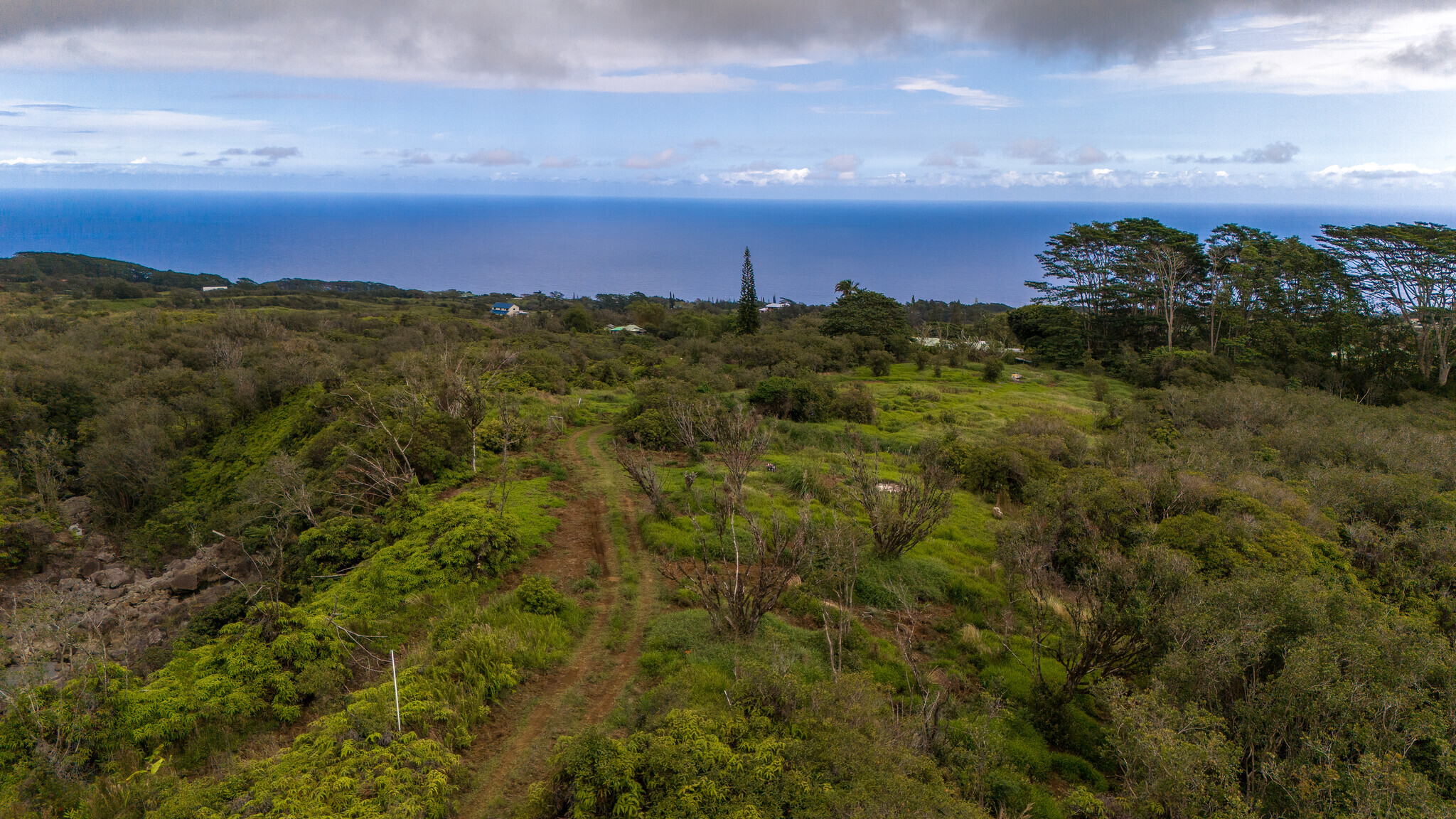 32-1175 Aina Wai Rd, Ninole, HI 96773