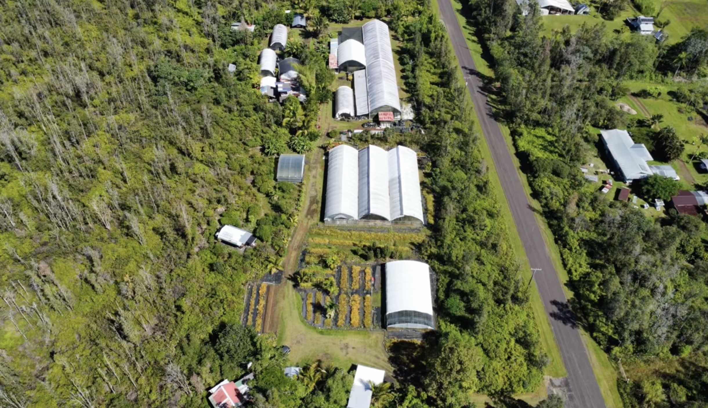 15-1300 Auina St, Pahoa, HI 96778