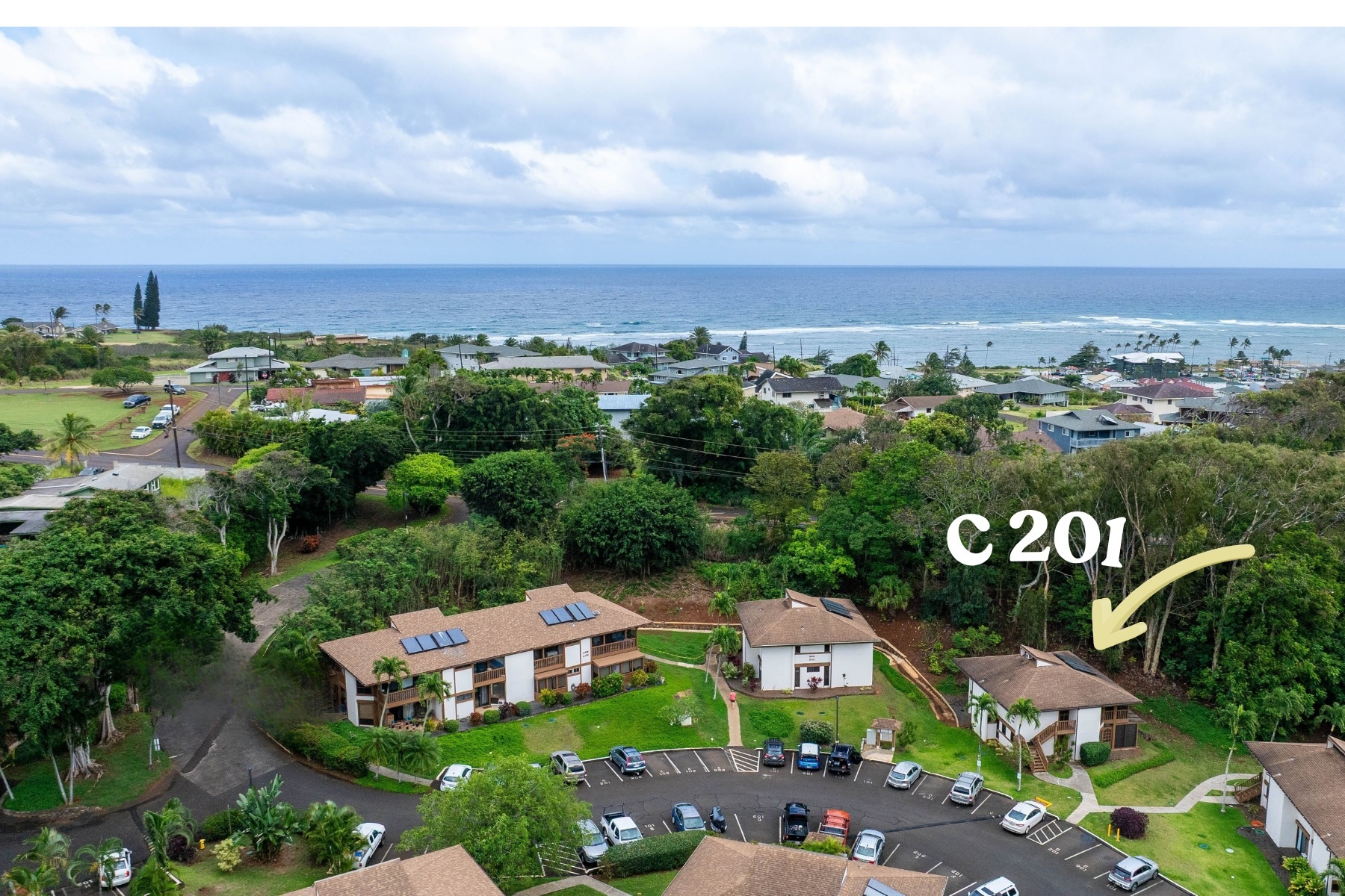 4701 Kawaihau Rd, C201, Kapaa, HI 96746