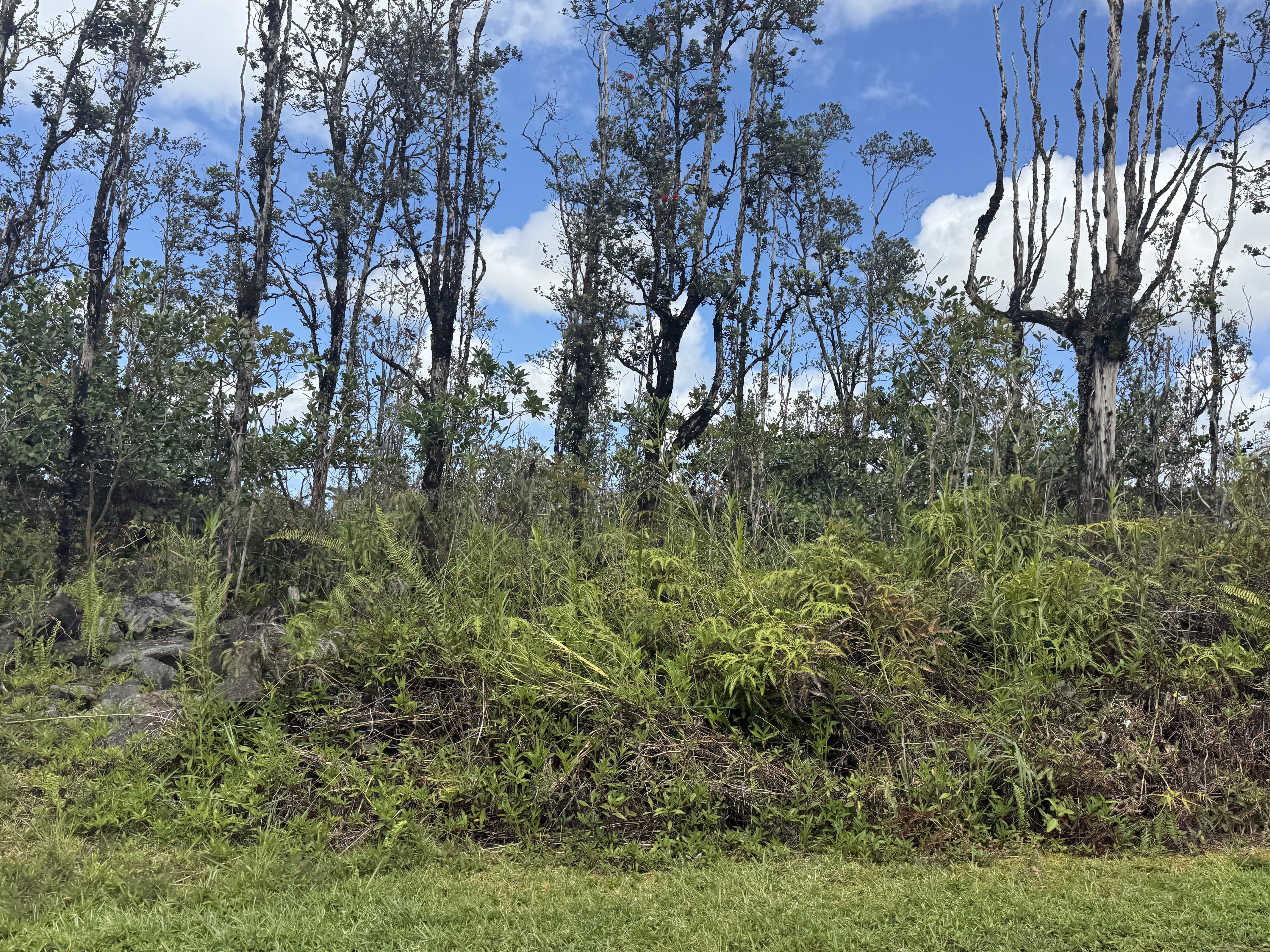 16-2039 Pukalani Dr, Pahoa, HI 96778