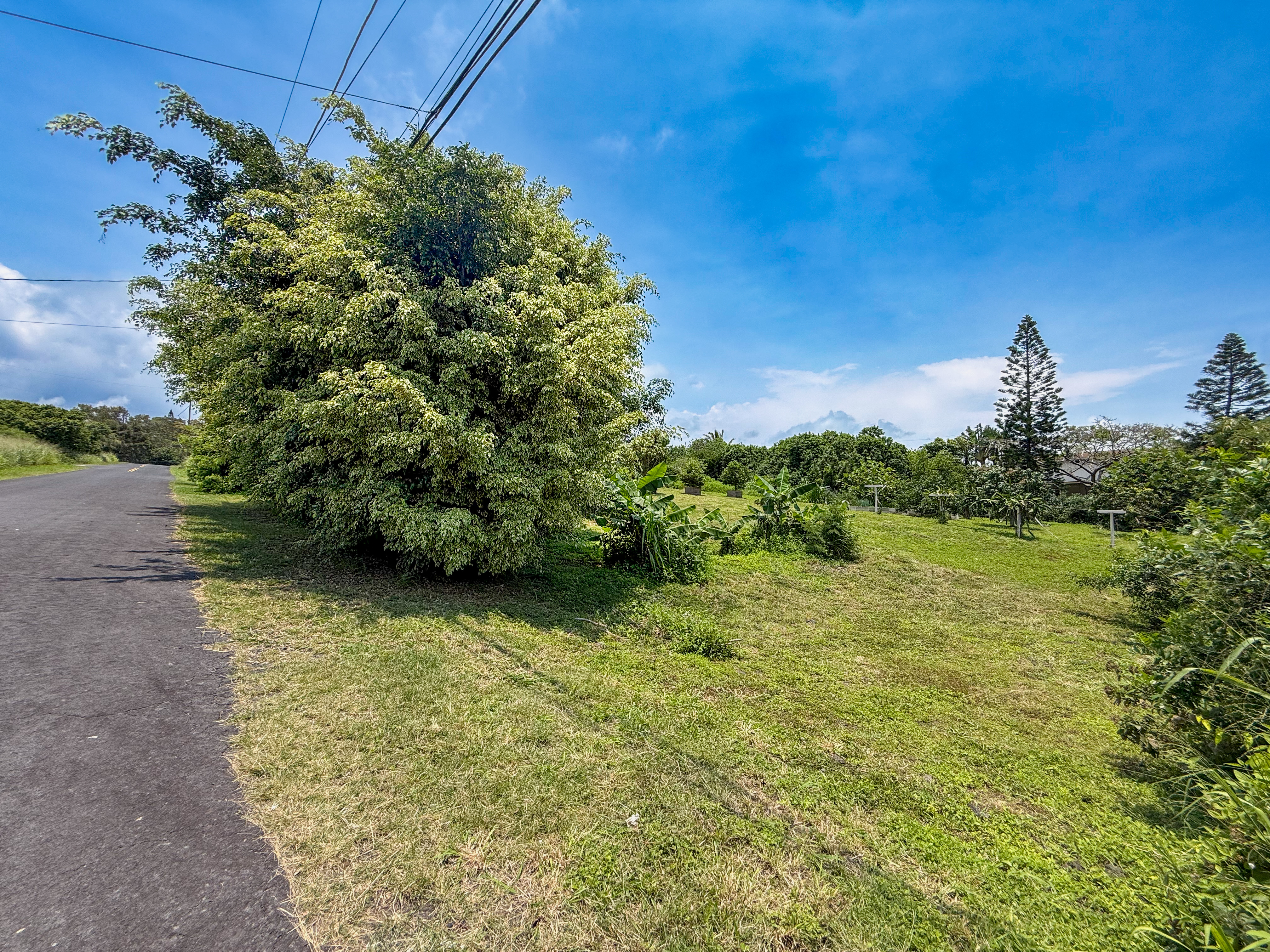 94-1381 Kaulua Circle, Naalehu, HI 96772