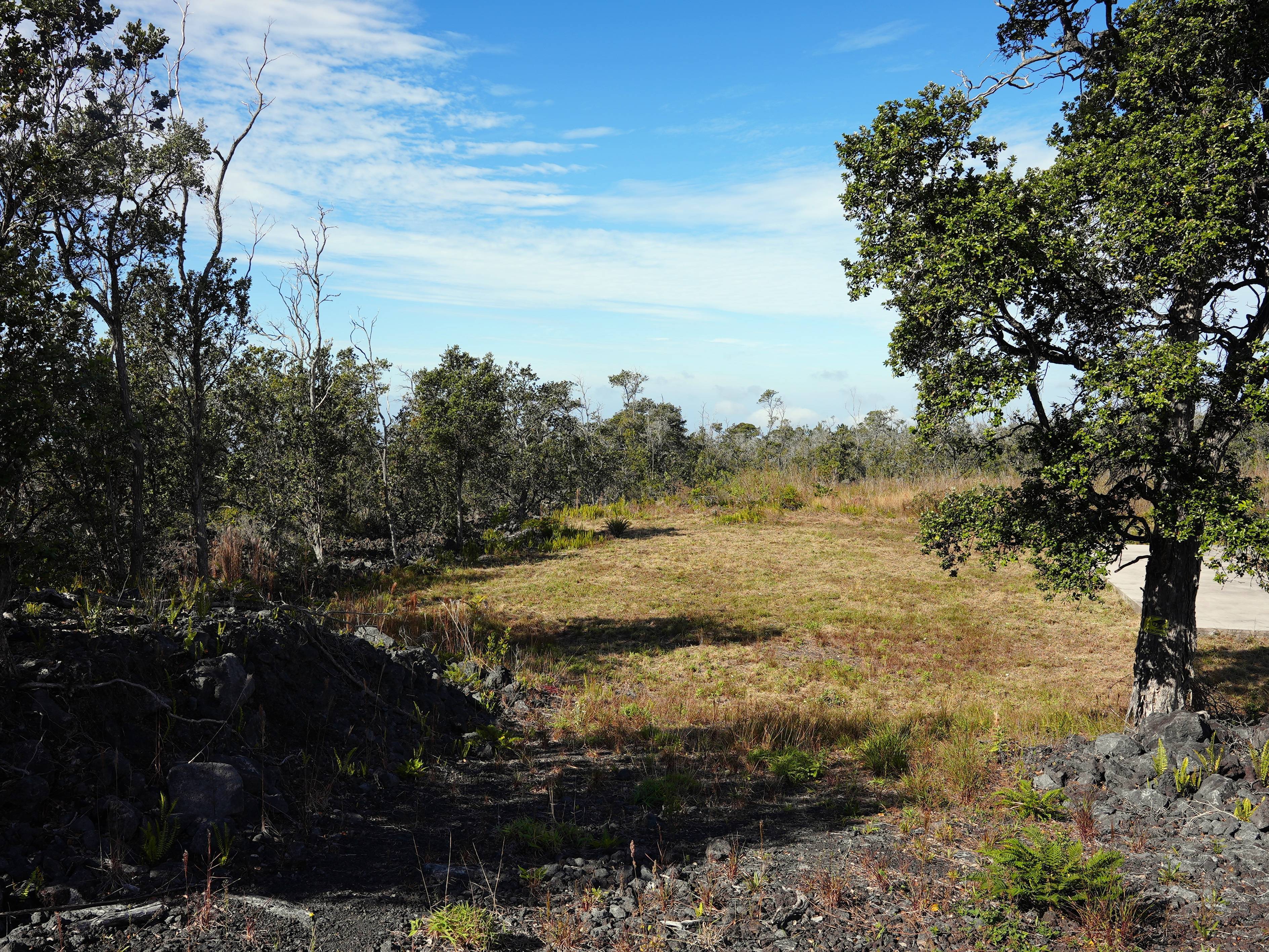 92-9018 Tiki Ln, Ocean View, HI 96737