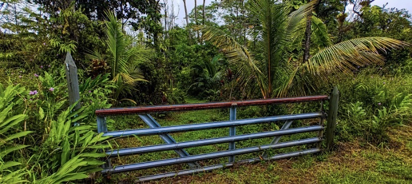 13-3439 Kula St, Pahoa, HI 96778