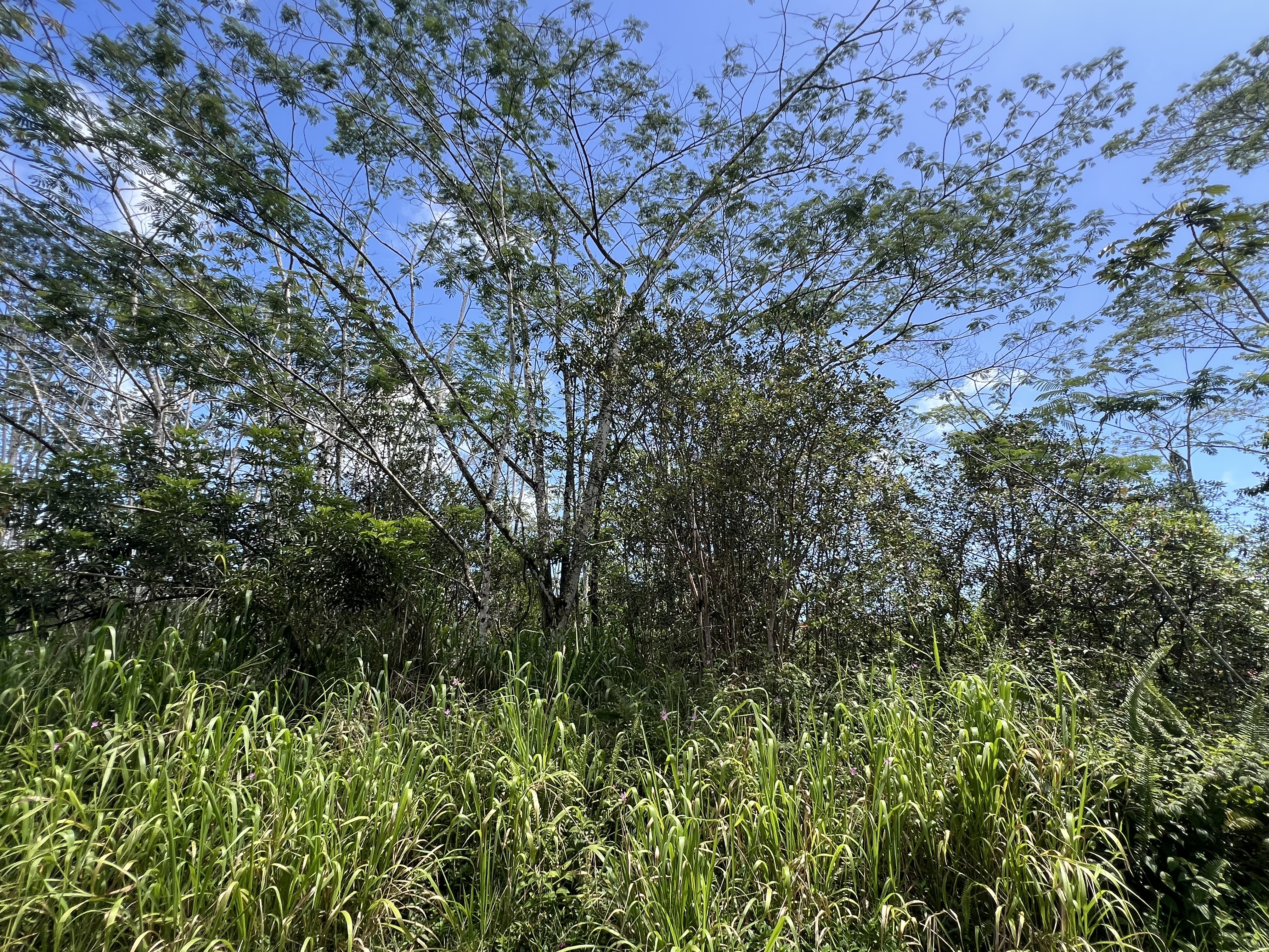 14-3501 Kailua Rd, Pahoa, HI 96778