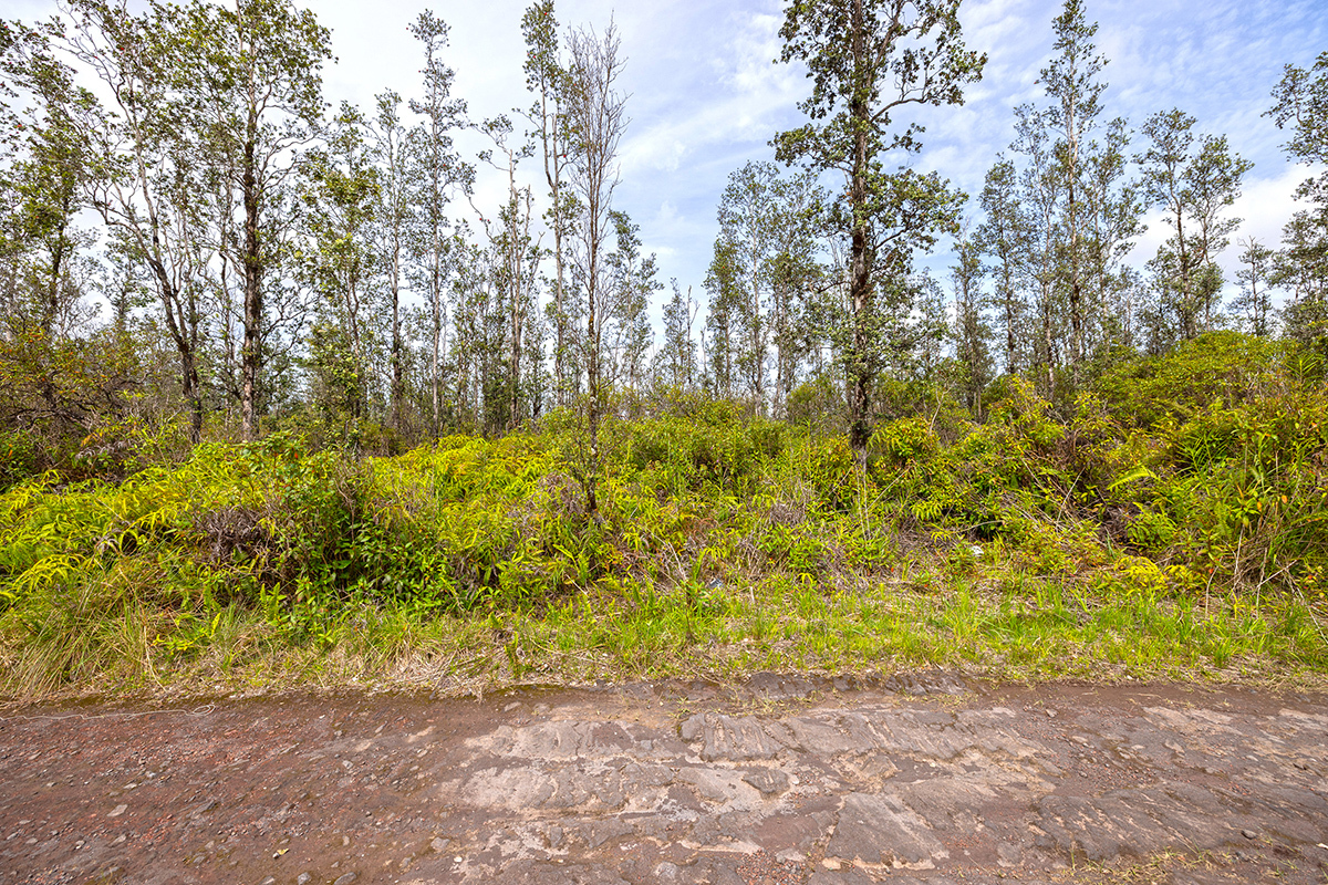 16-2191 Road 4 (Io Kea), Mountain View, HI 96771