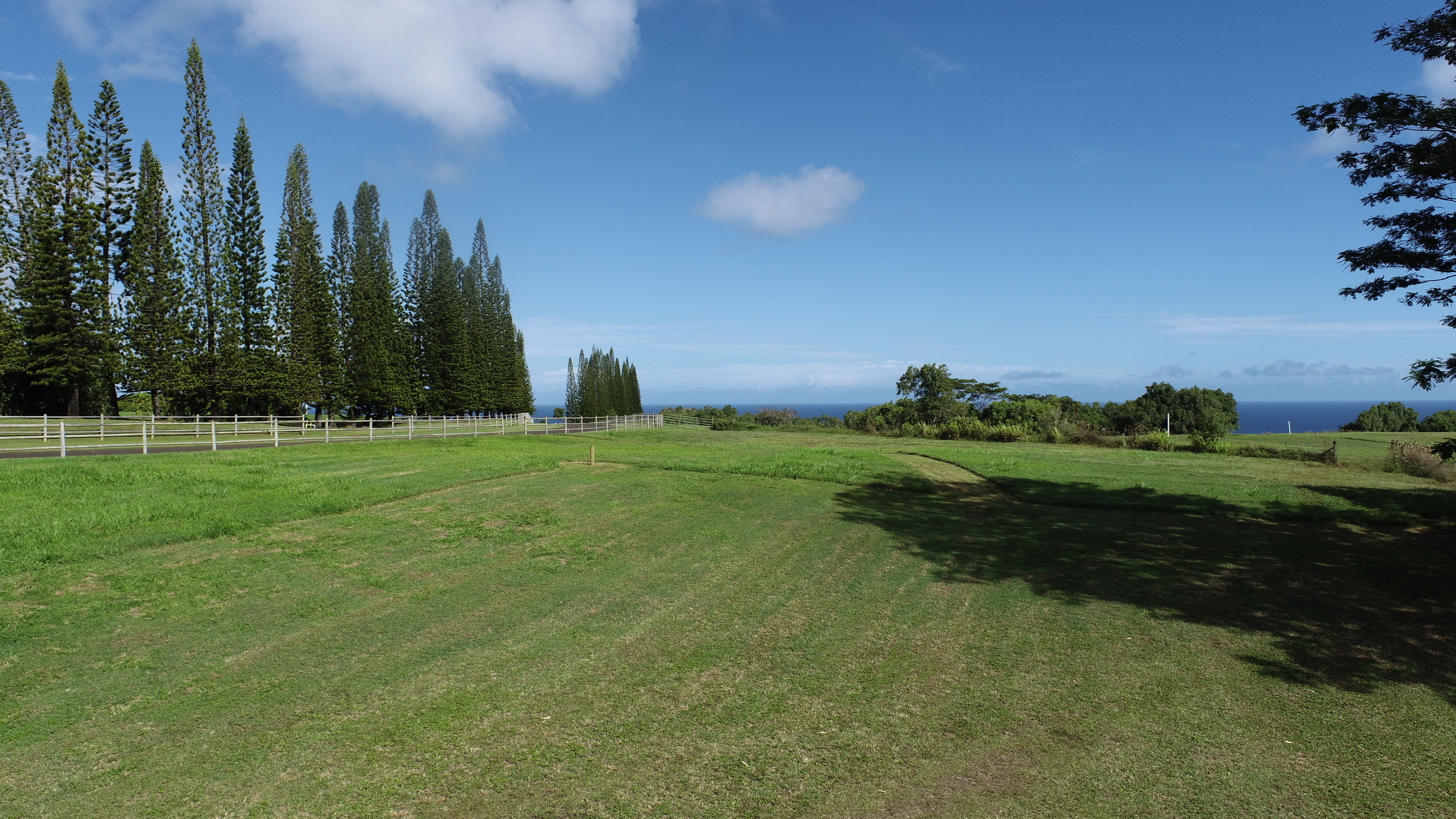 3693 Kuula Pl, 49, Kilauea, HI 96754
