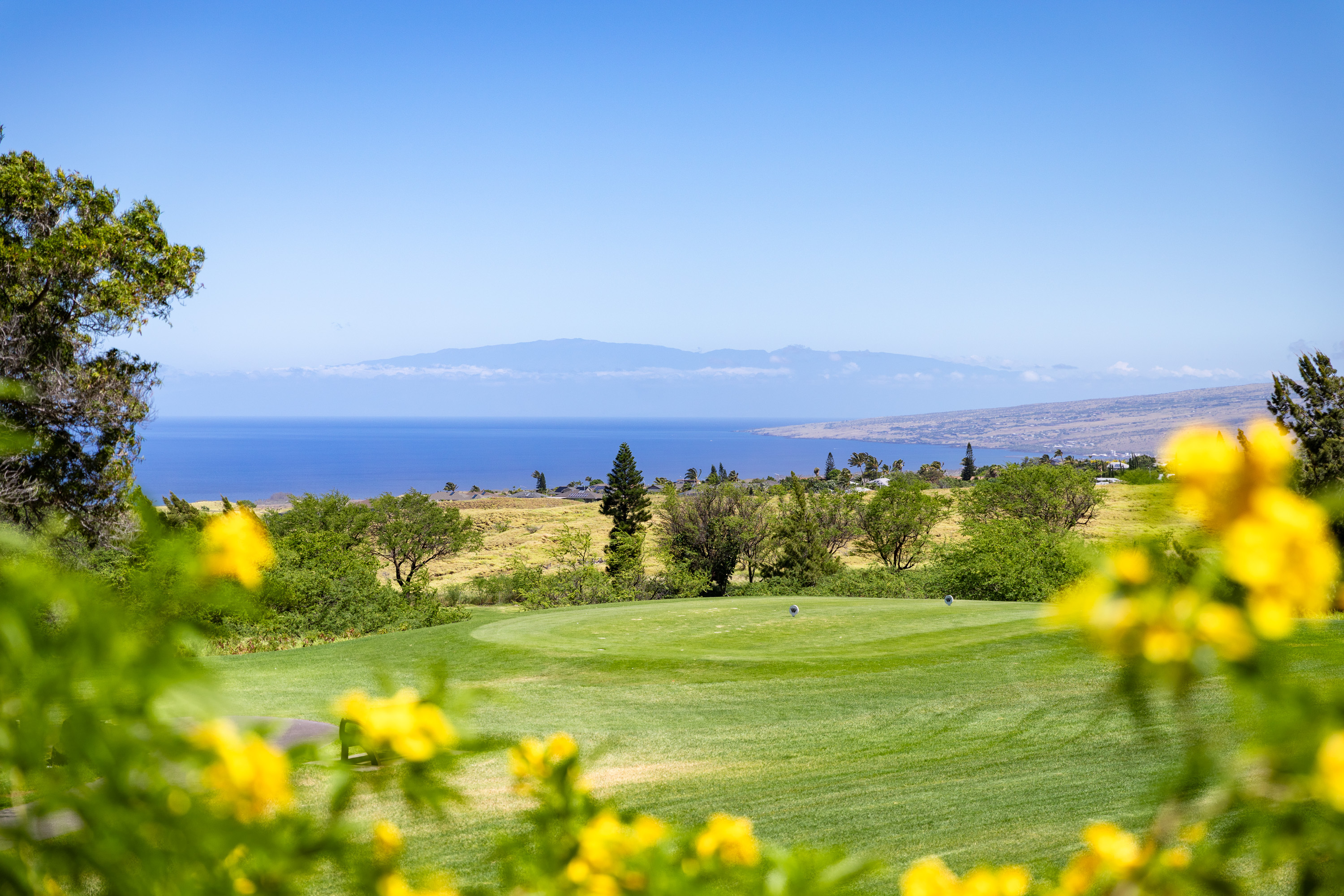 68-1767 Melia St, D106DL2, Waikoloa, HI 96738