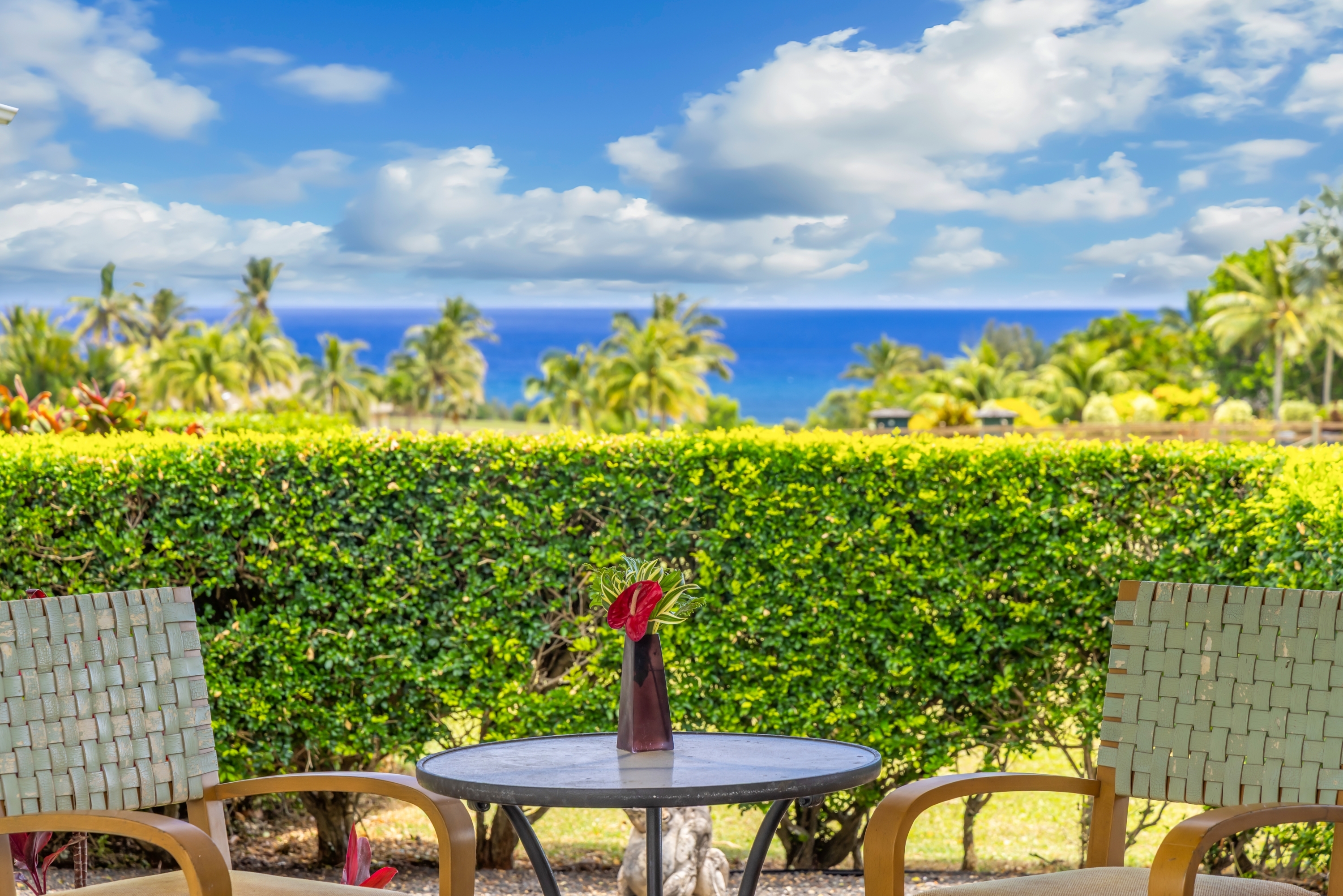 5421 Kalalea View Dr, 5421-C & 5425-C, Anahola, HI 96703