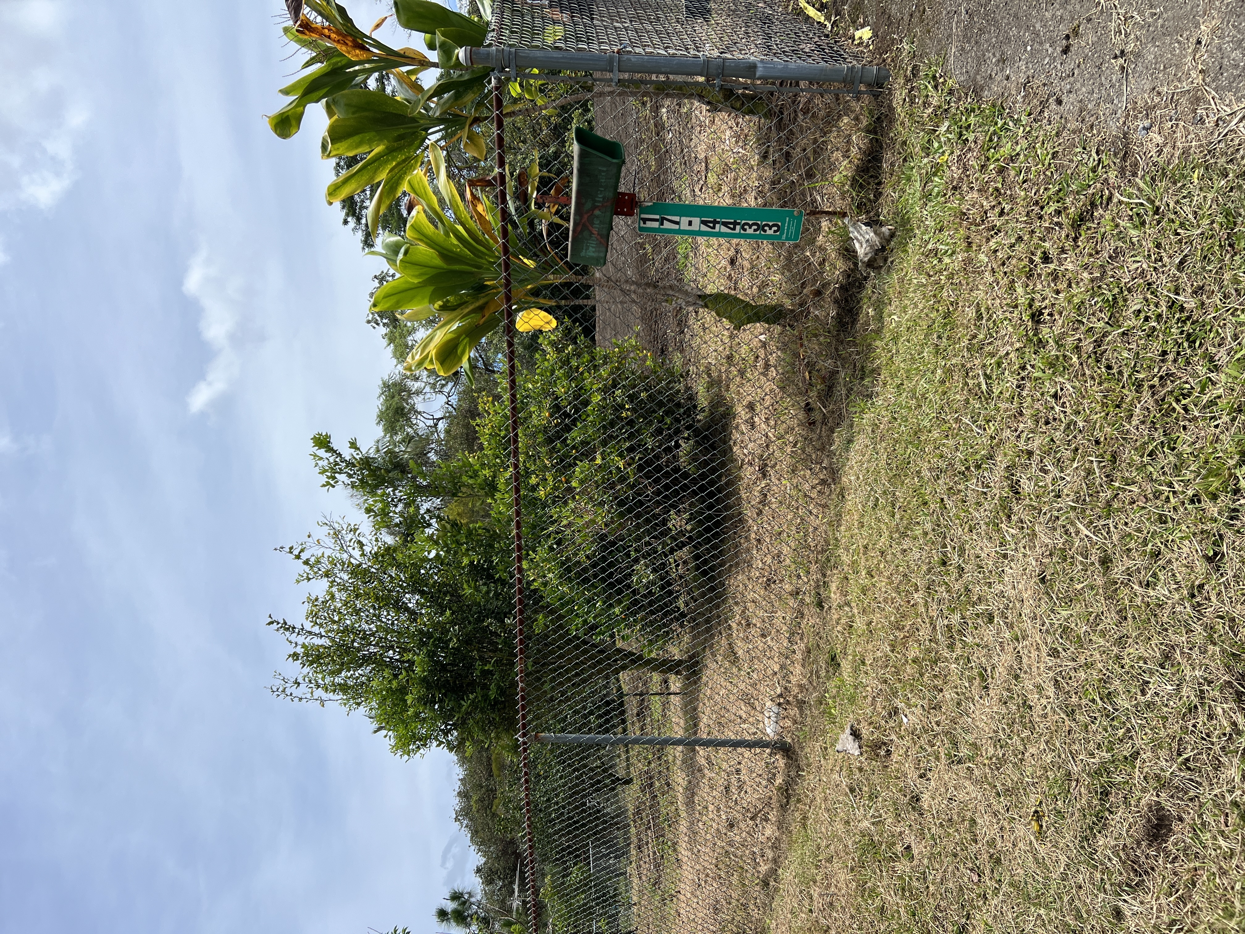 17-4433 Huina Rd, Kurtistown, HI 96771