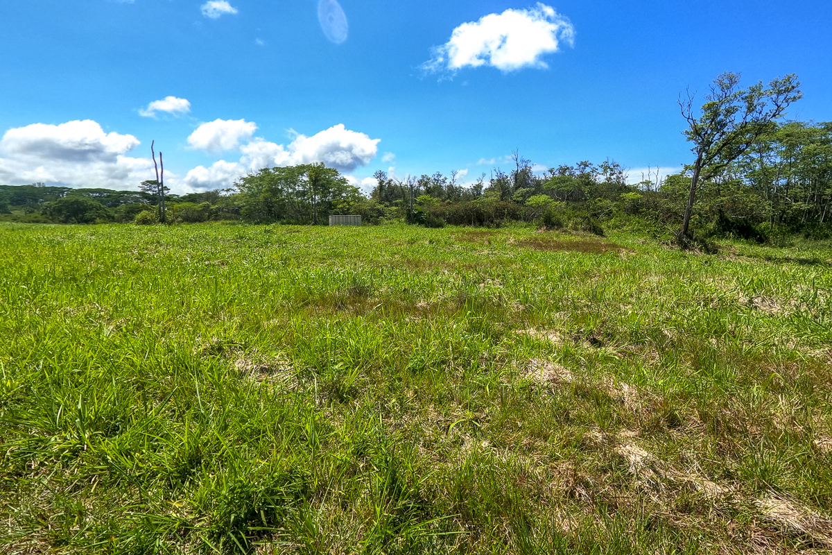 17-820 Manaolana Road, Kurtistown, HI 96760