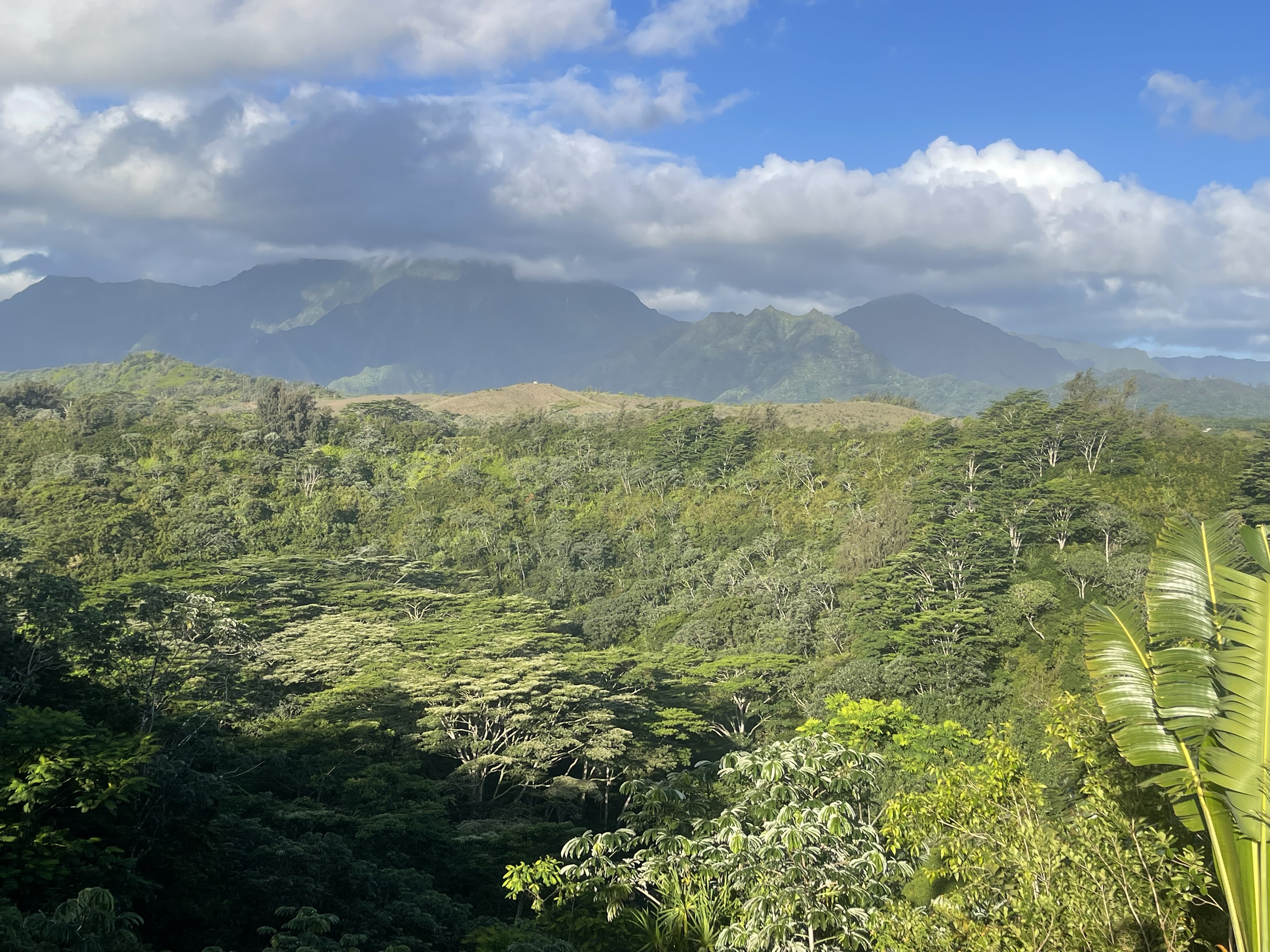 5250-D Kahiliholo Rd, Kilauea, HI 96754