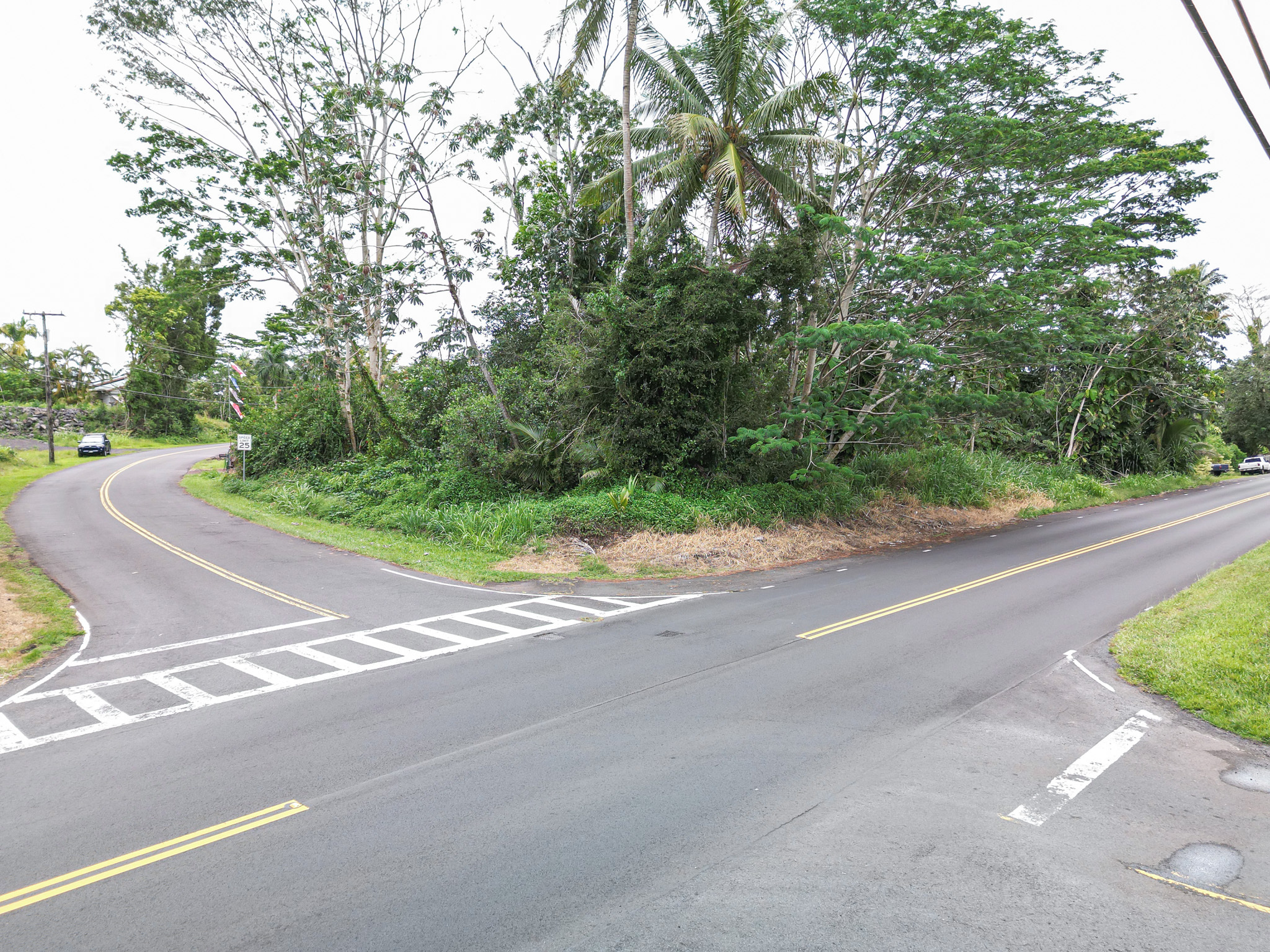 15-765 Puni Mauka Loop, Pahoa, HI 96778