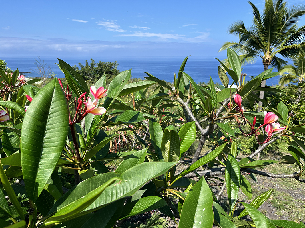 87-310 Kaohe Rd, Captain Cook, HI 96704